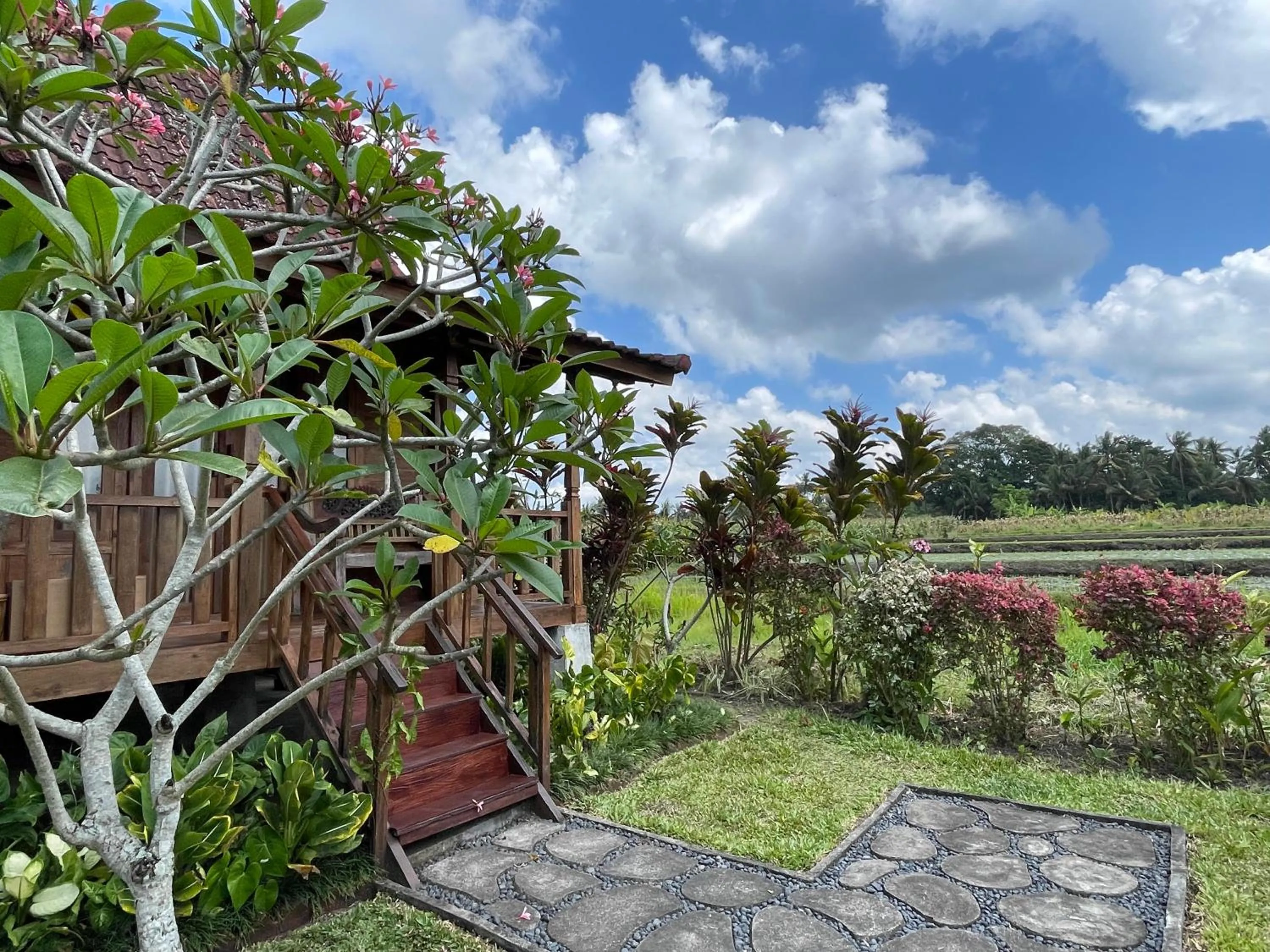 Spring in Sirya Farm House