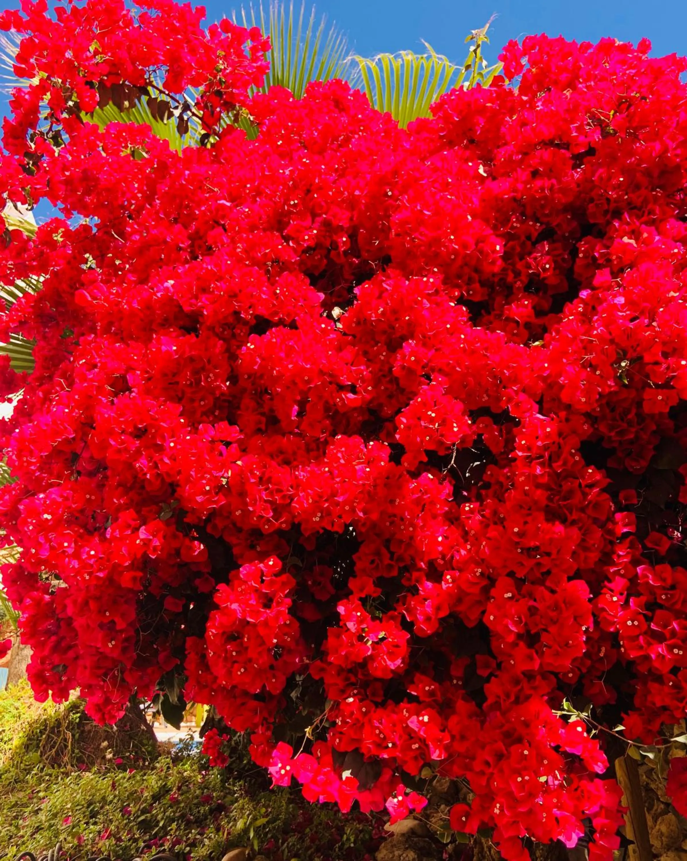 Day in Boutique Hostal Lorca