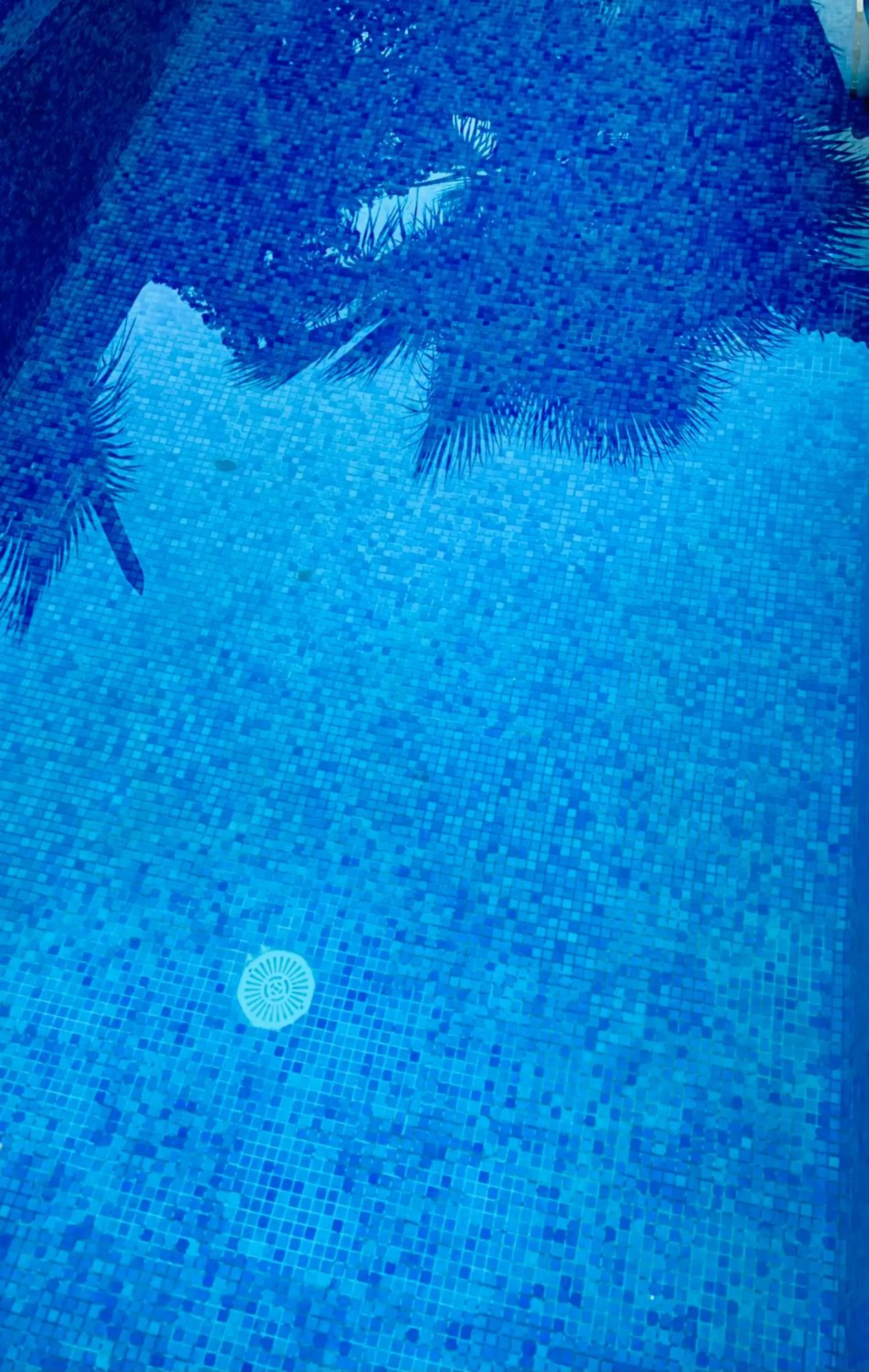 Swimming pool in Boutique Hostal Lorca