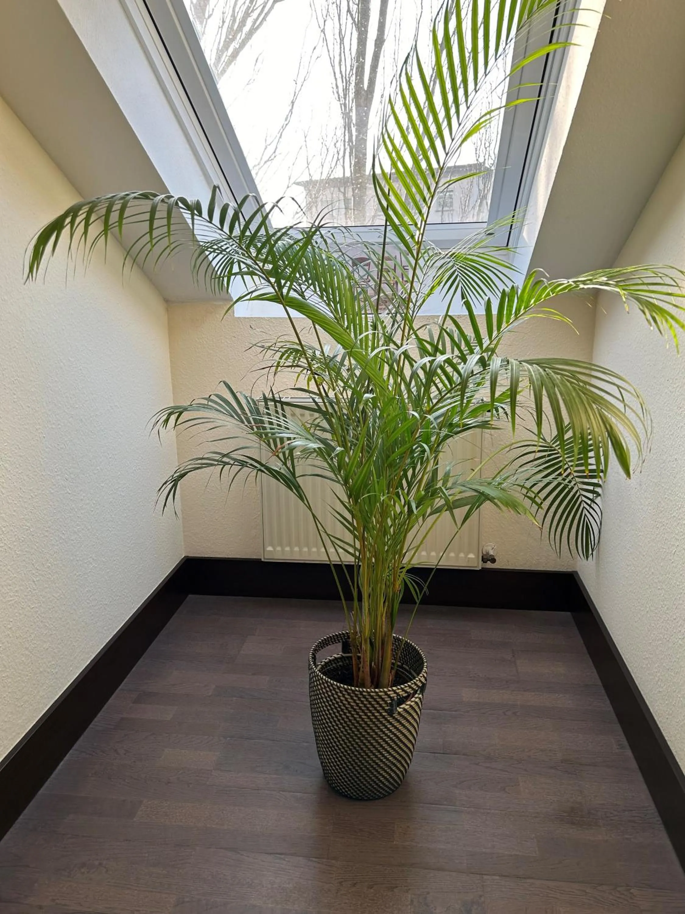 Villa Hotel Frankfurt by MZ HotelCollection