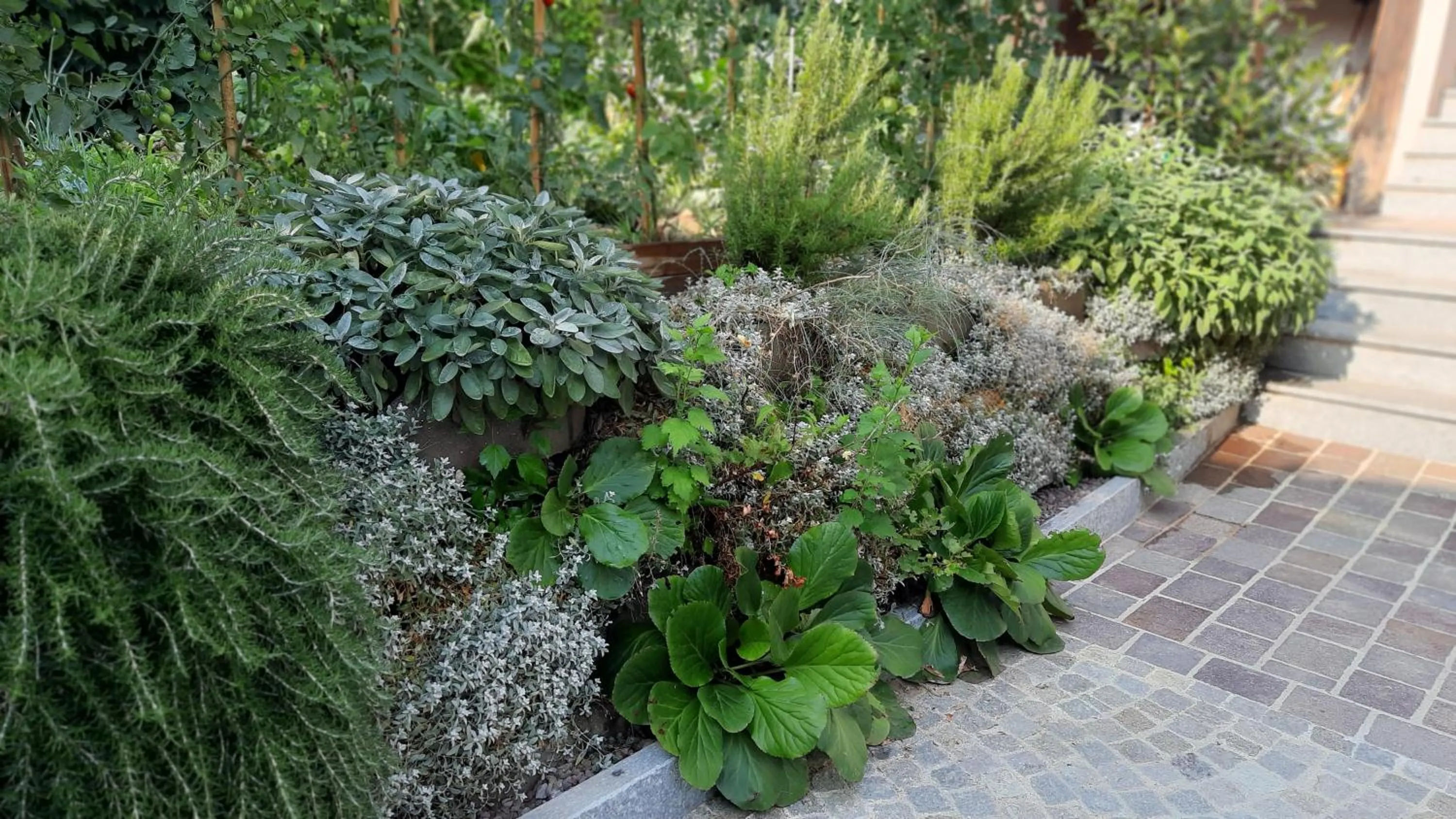 Inner courtyard view in B&B Ai Tre Cavalli