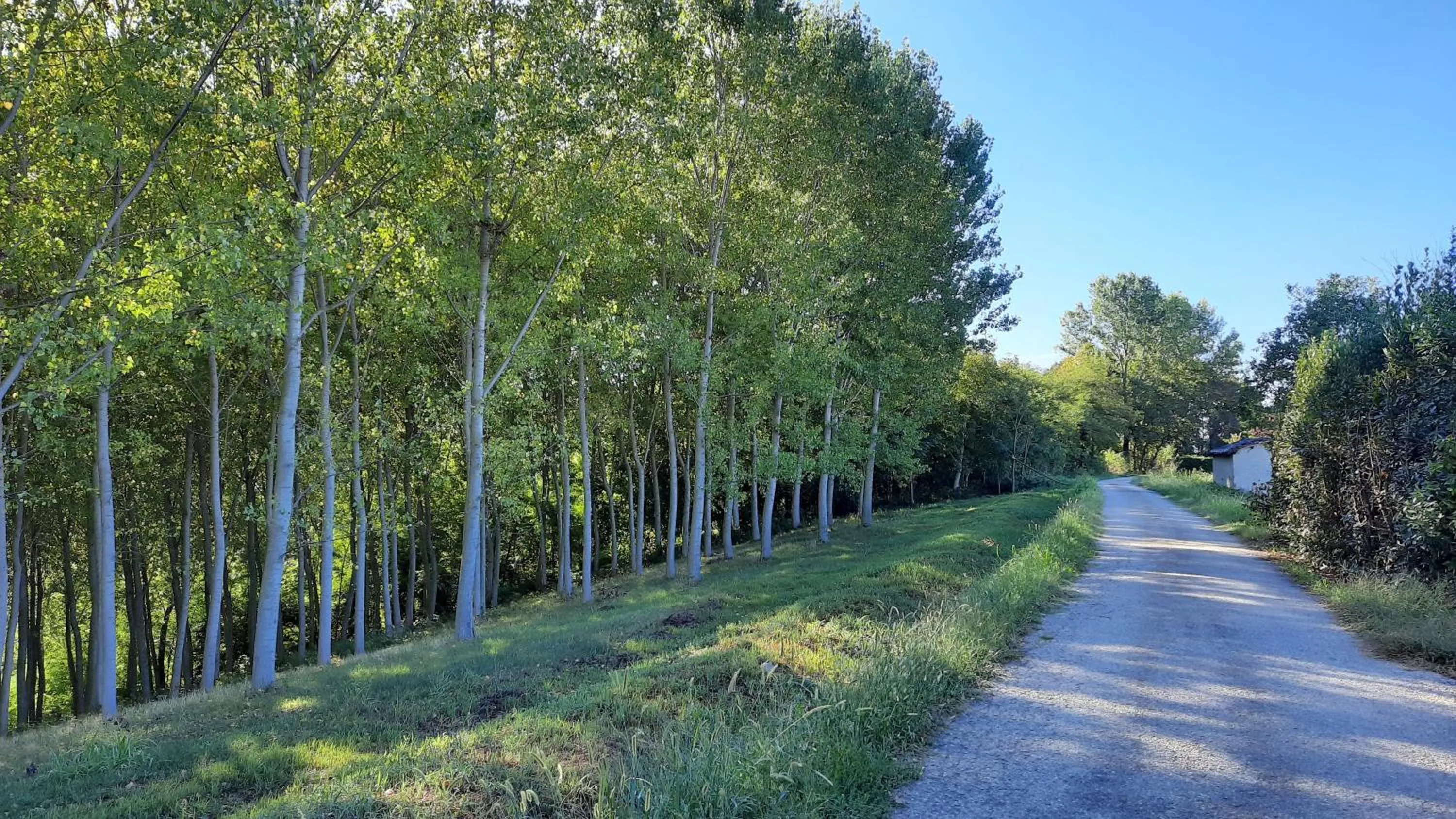 Natural landscape in B&B Ai Tre Cavalli