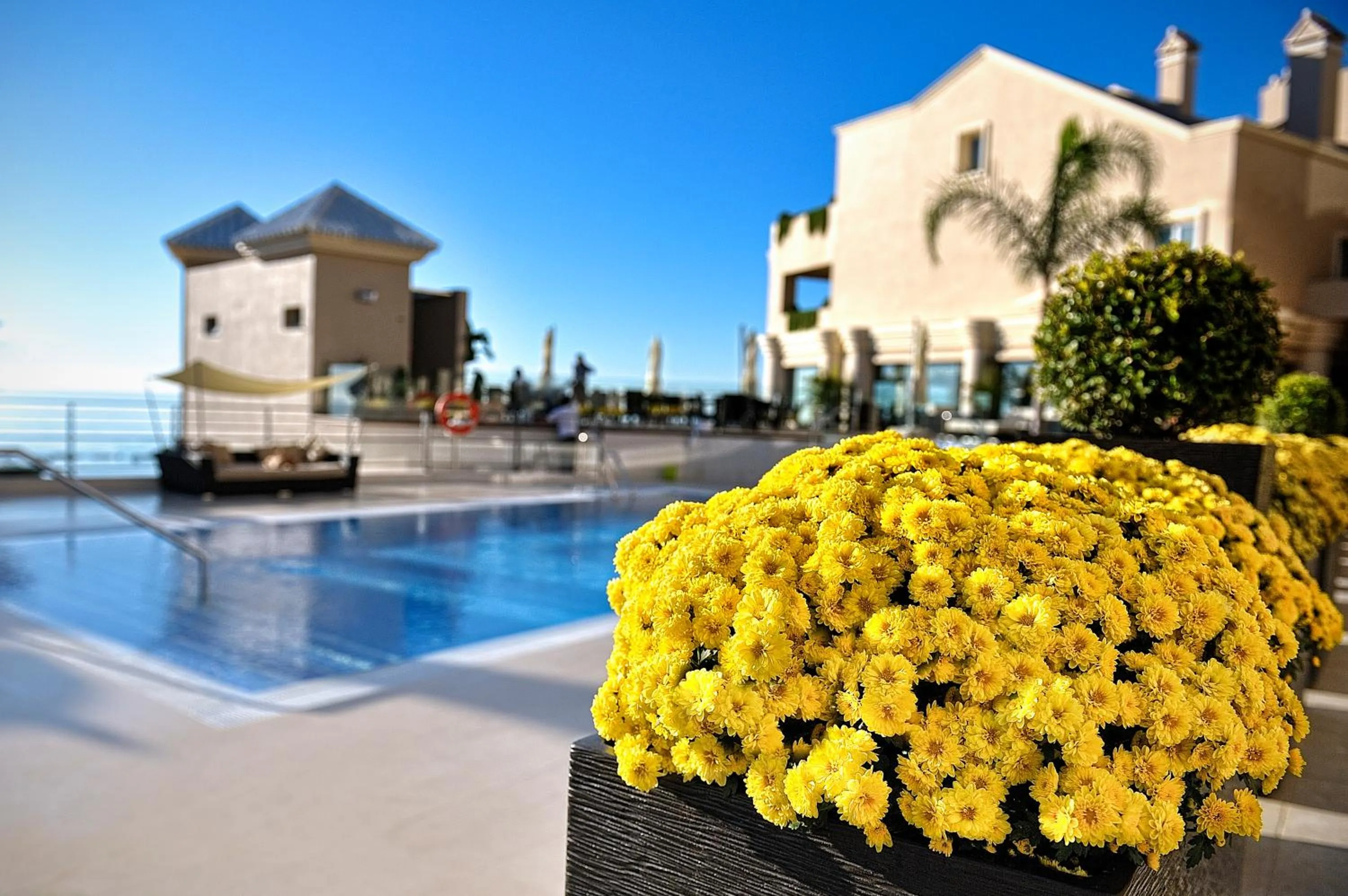 Swimming pool in Vincci Selección Aleysa