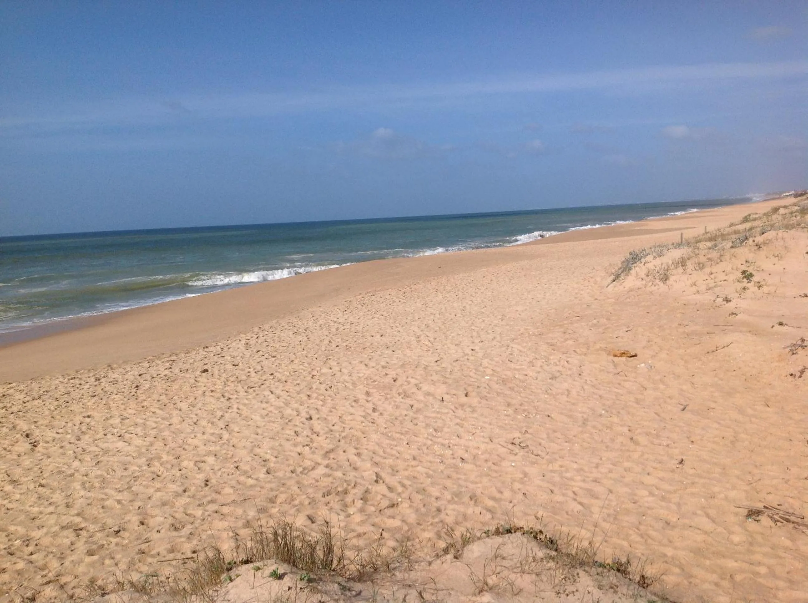 Beach in Apartamentos Barracuda