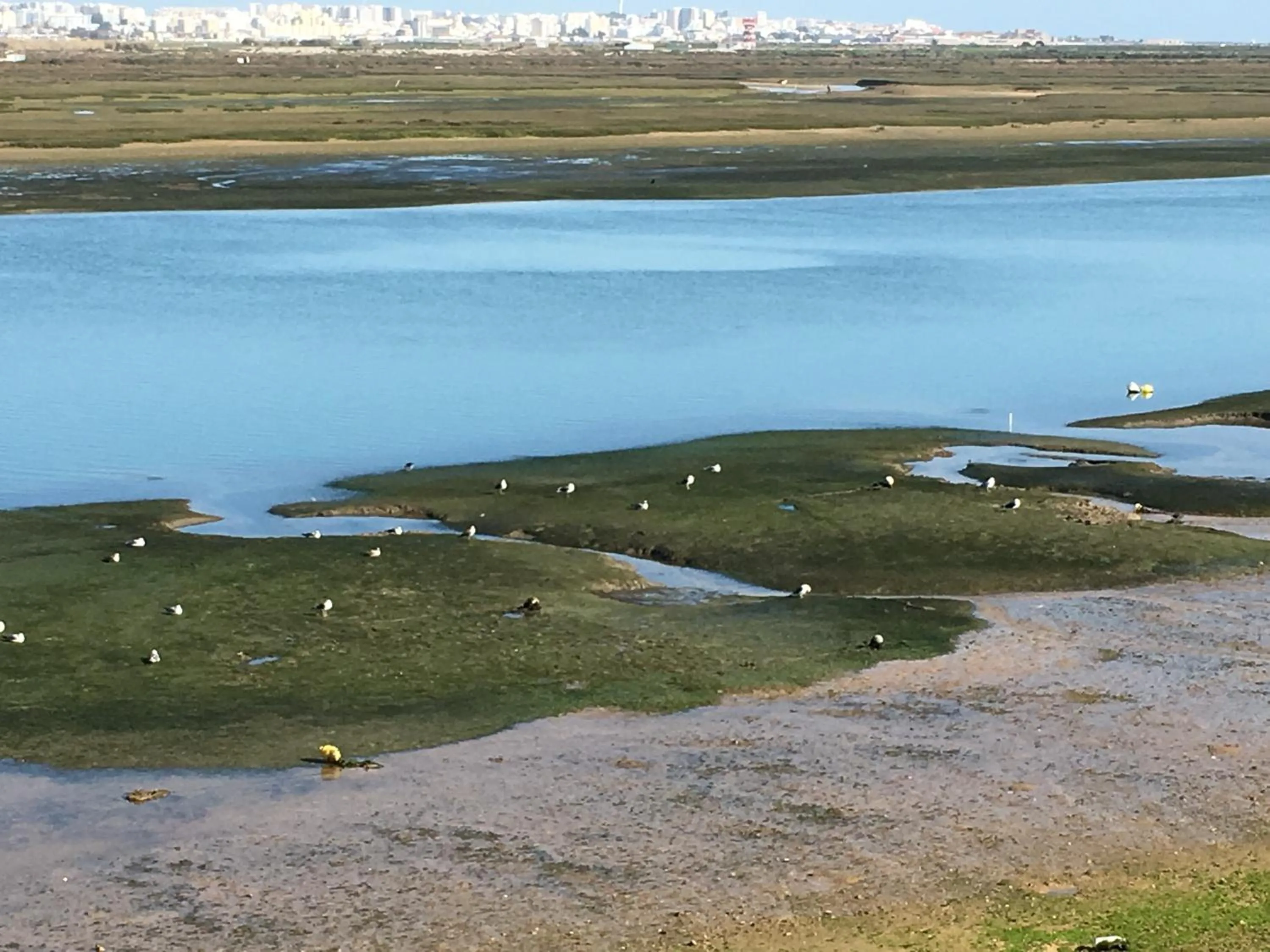 Natural landscape in Apartamentos Barracuda