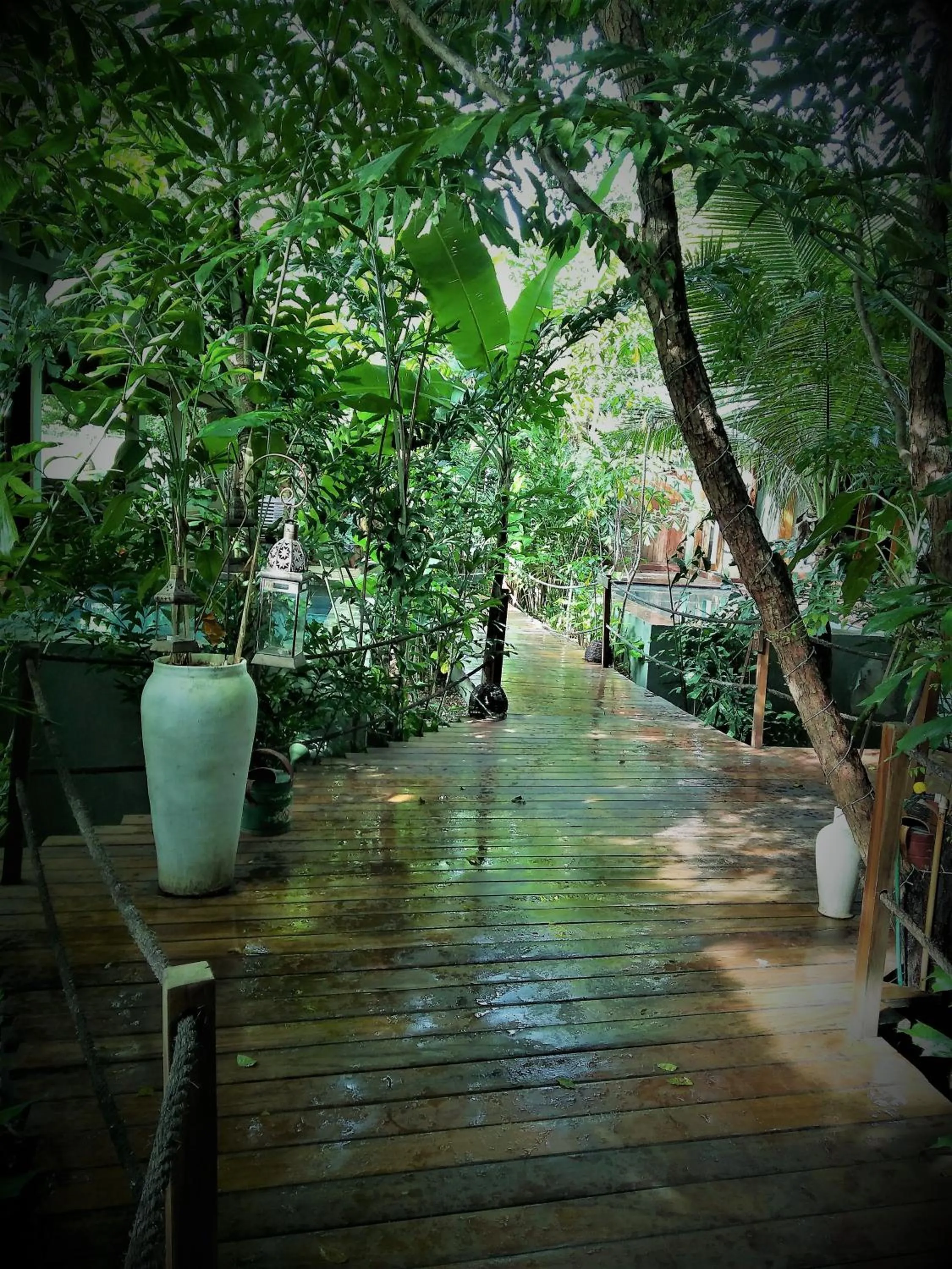 Garden in Recanto de Sophie