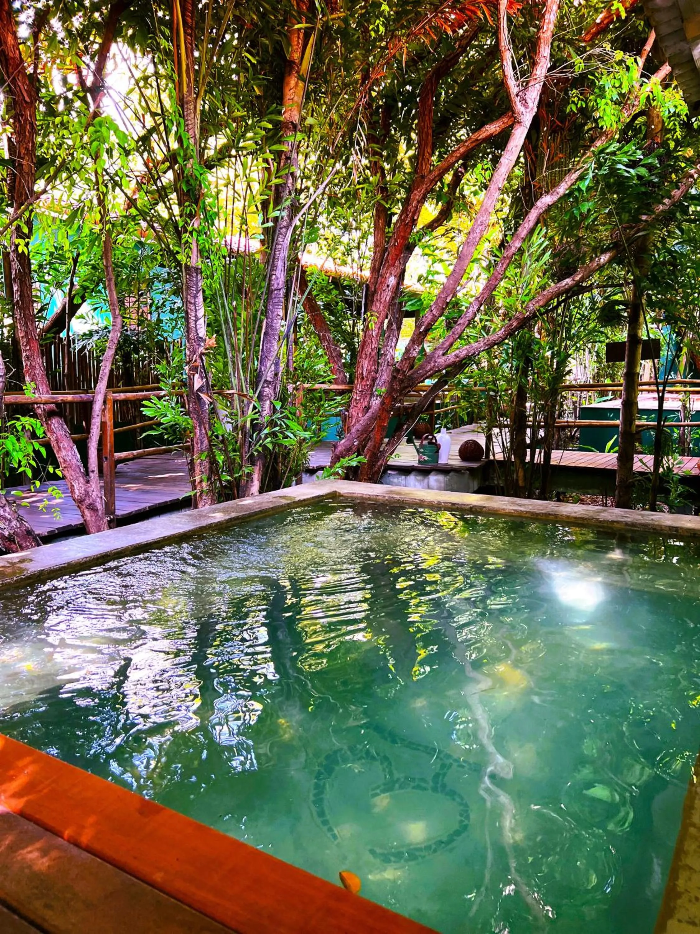 Swimming pool in Recanto de Sophie