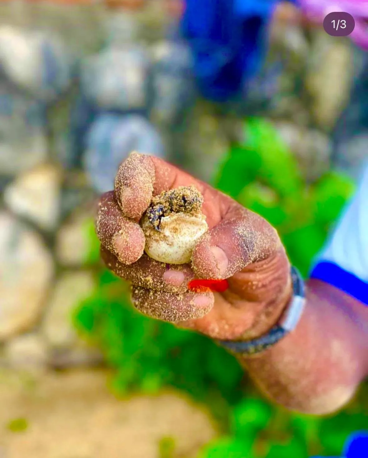 Day in Sand and Tan Beach Hotel