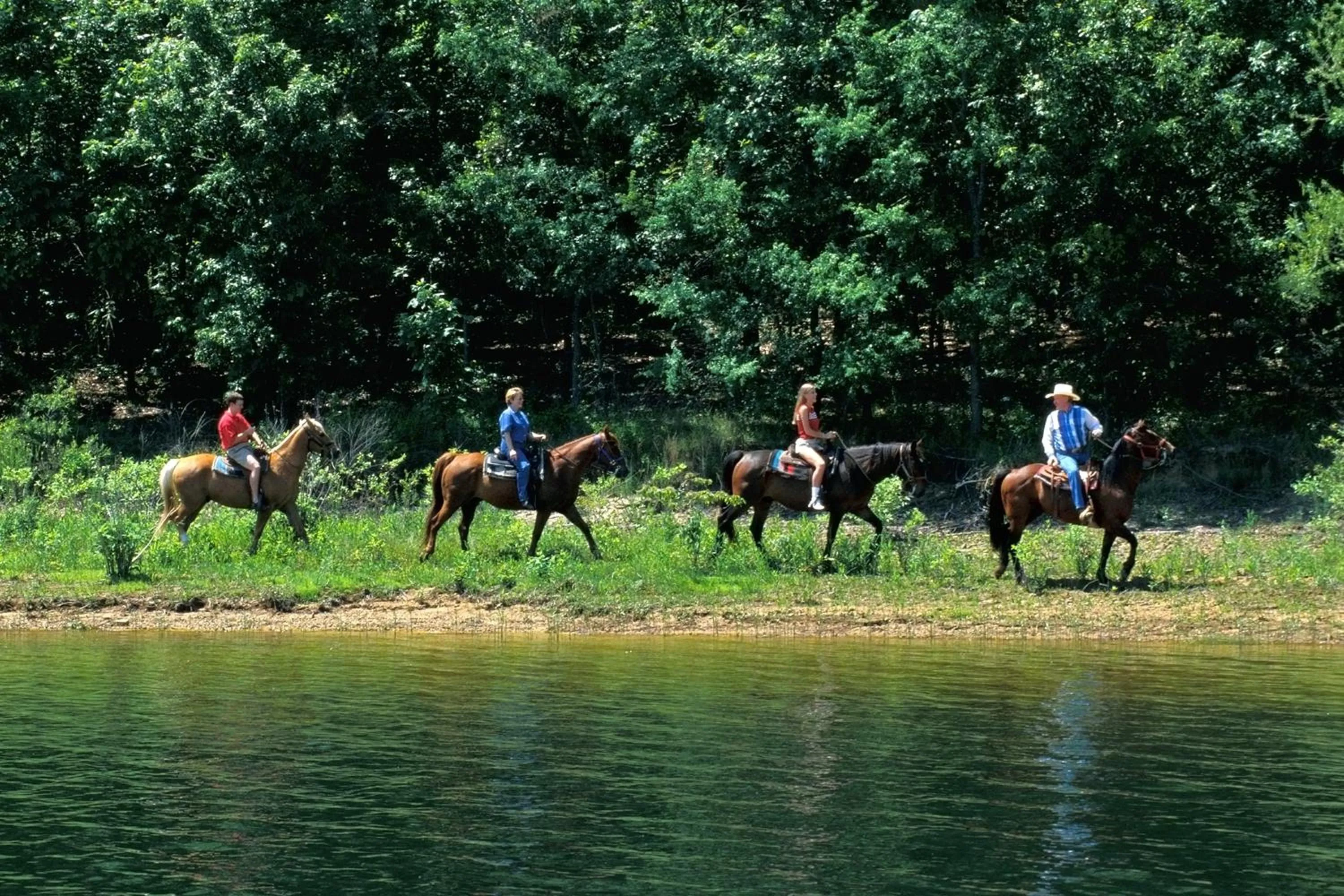 Activities in Starlight Haven Hot Springs