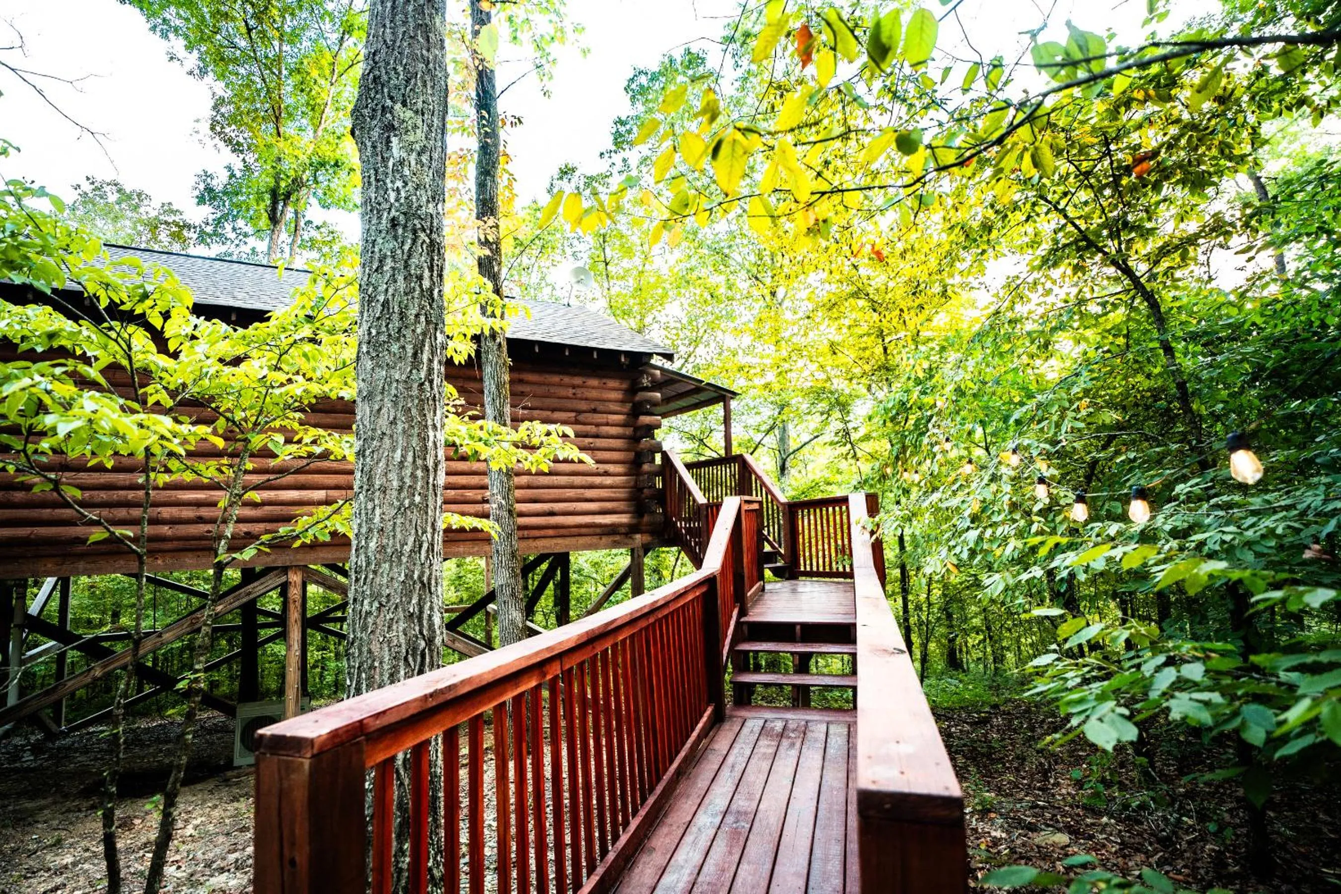 Mountain view in Starlight Haven Hot Springs