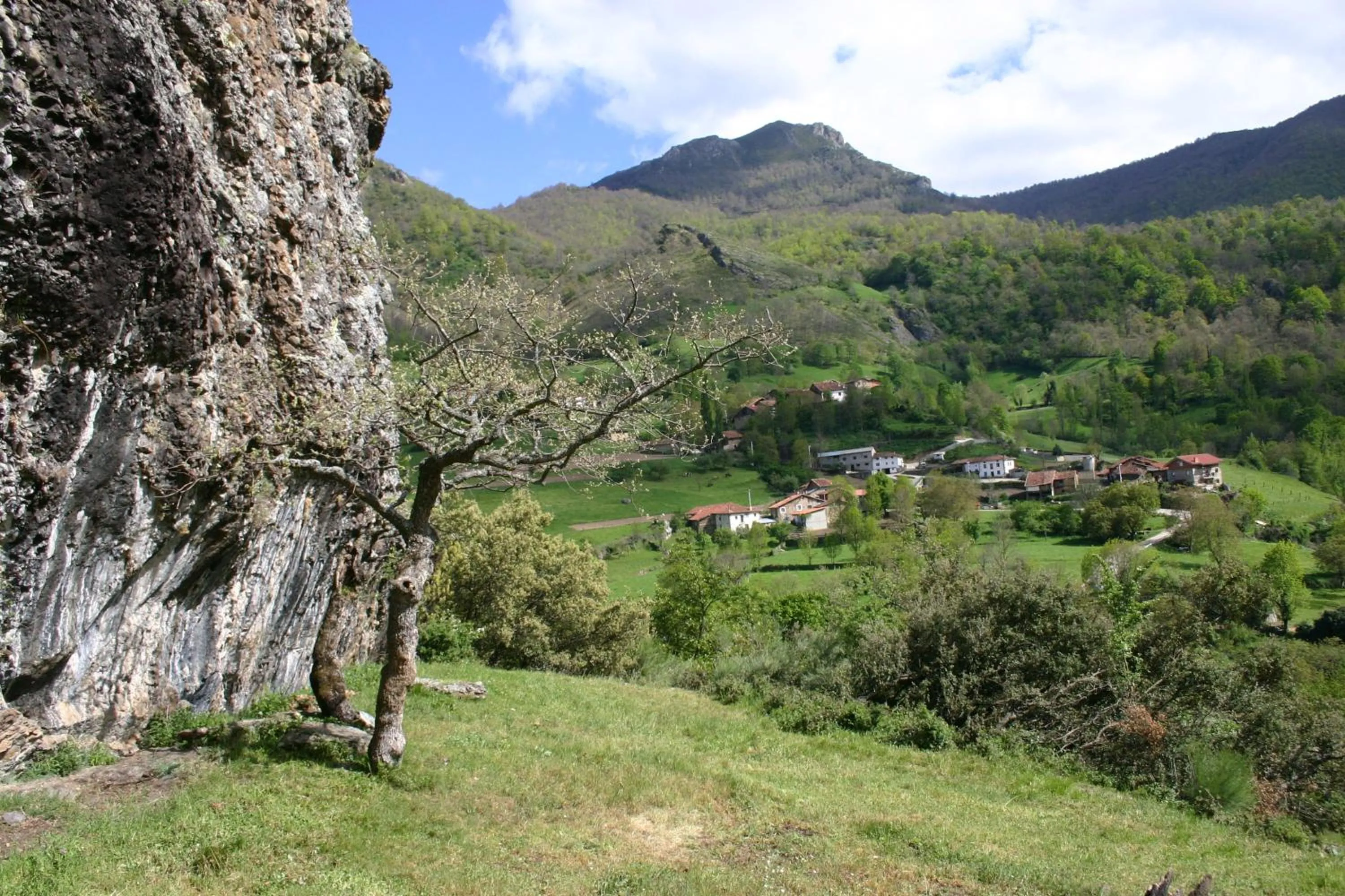 Natural landscape in Apartamentos Javier