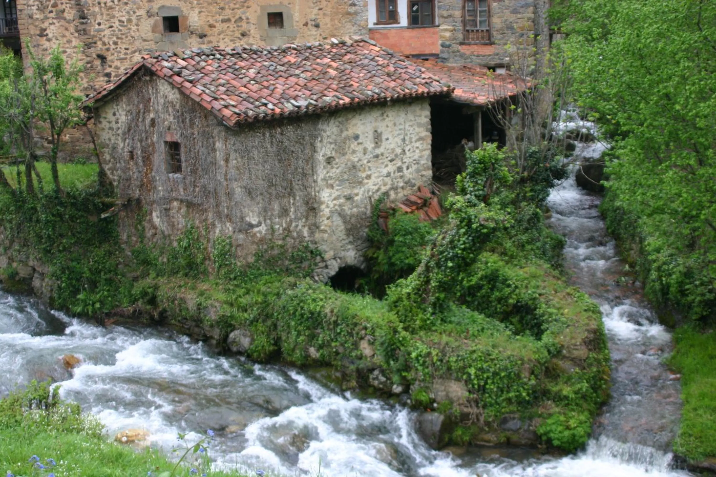 Natural landscape in Apartamentos Javier