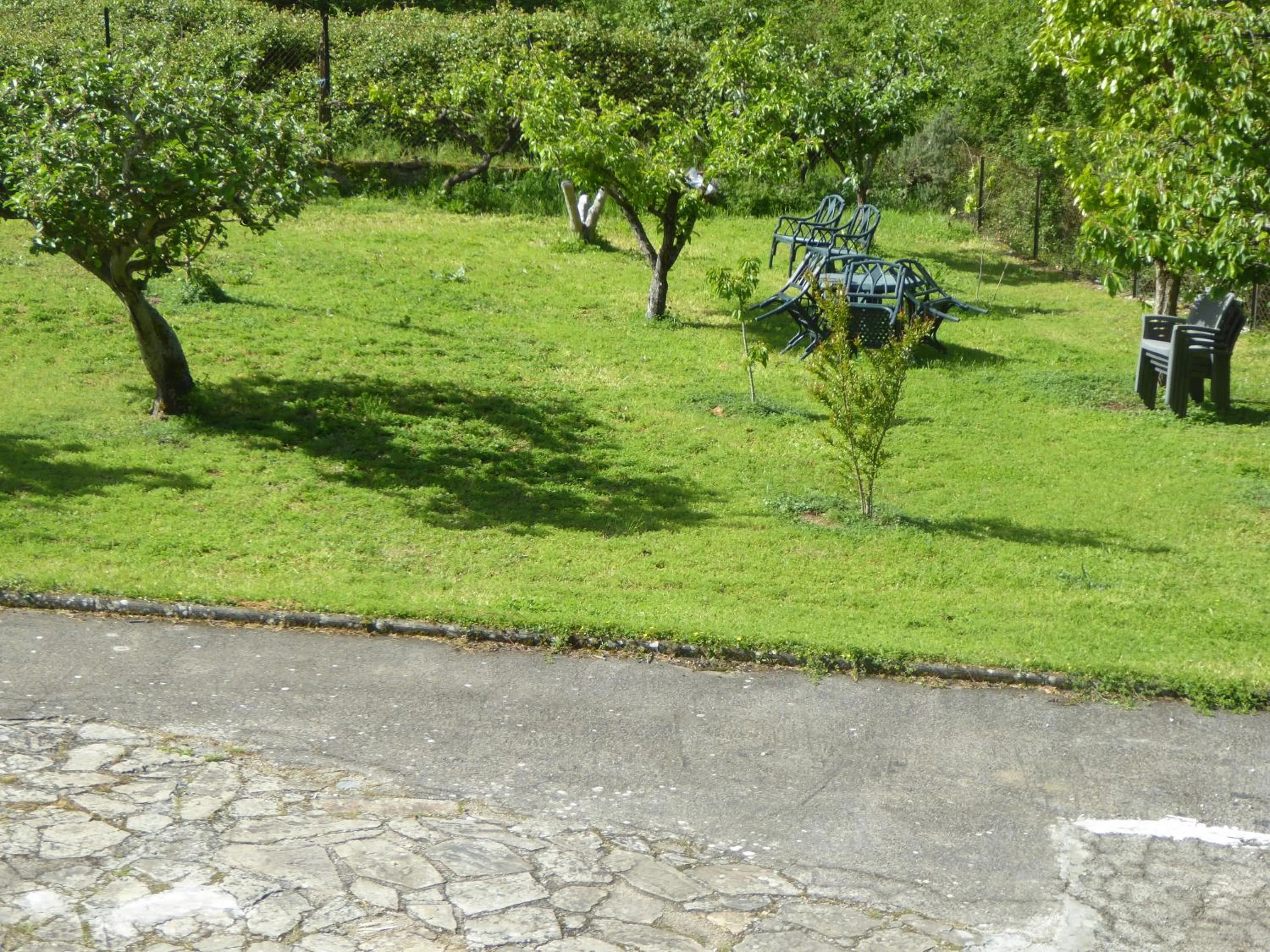 Garden in Apartamentos Javier