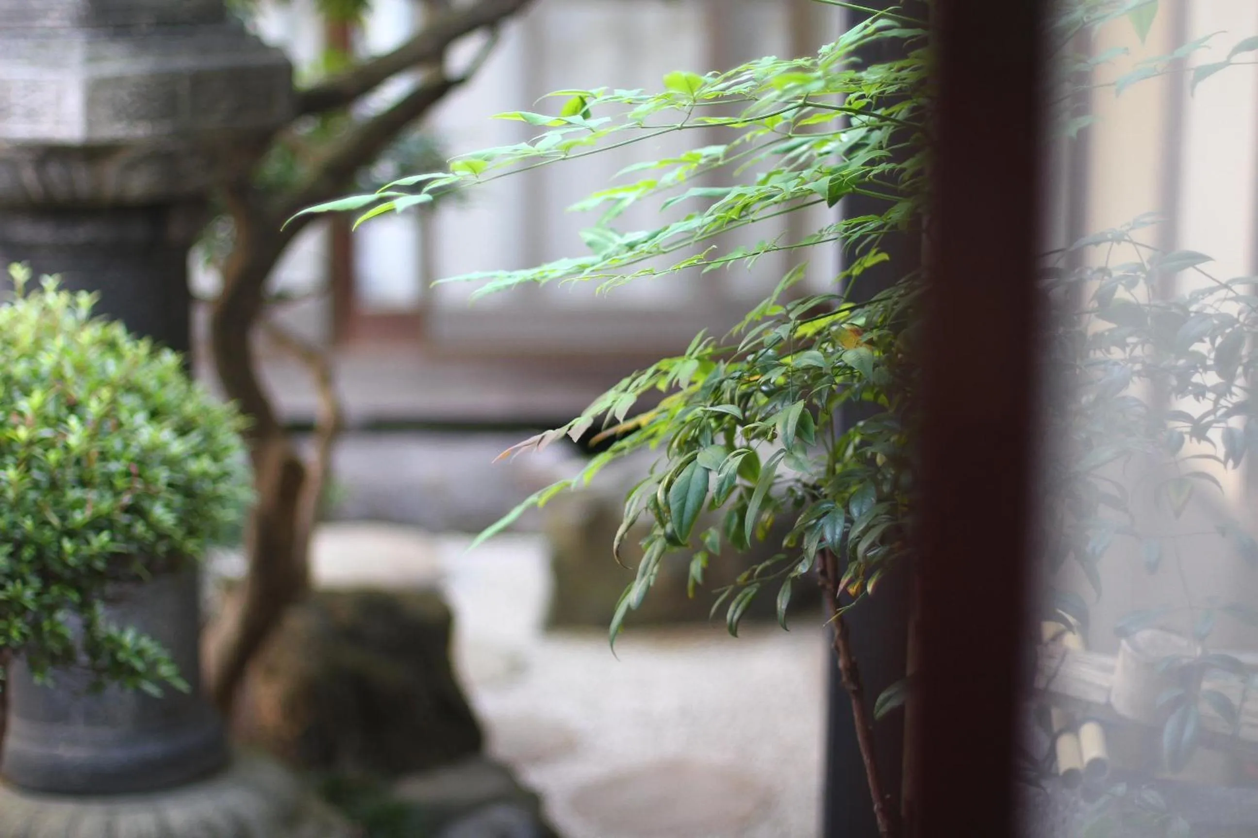 Garden in Guesthouse KYOTO COMPASS