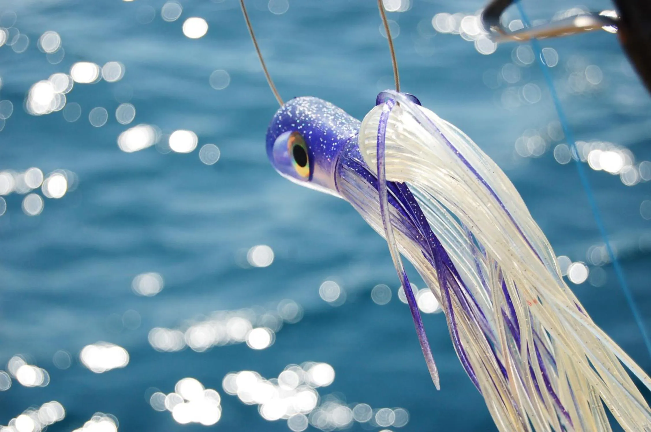 Animals in Crystal Sands