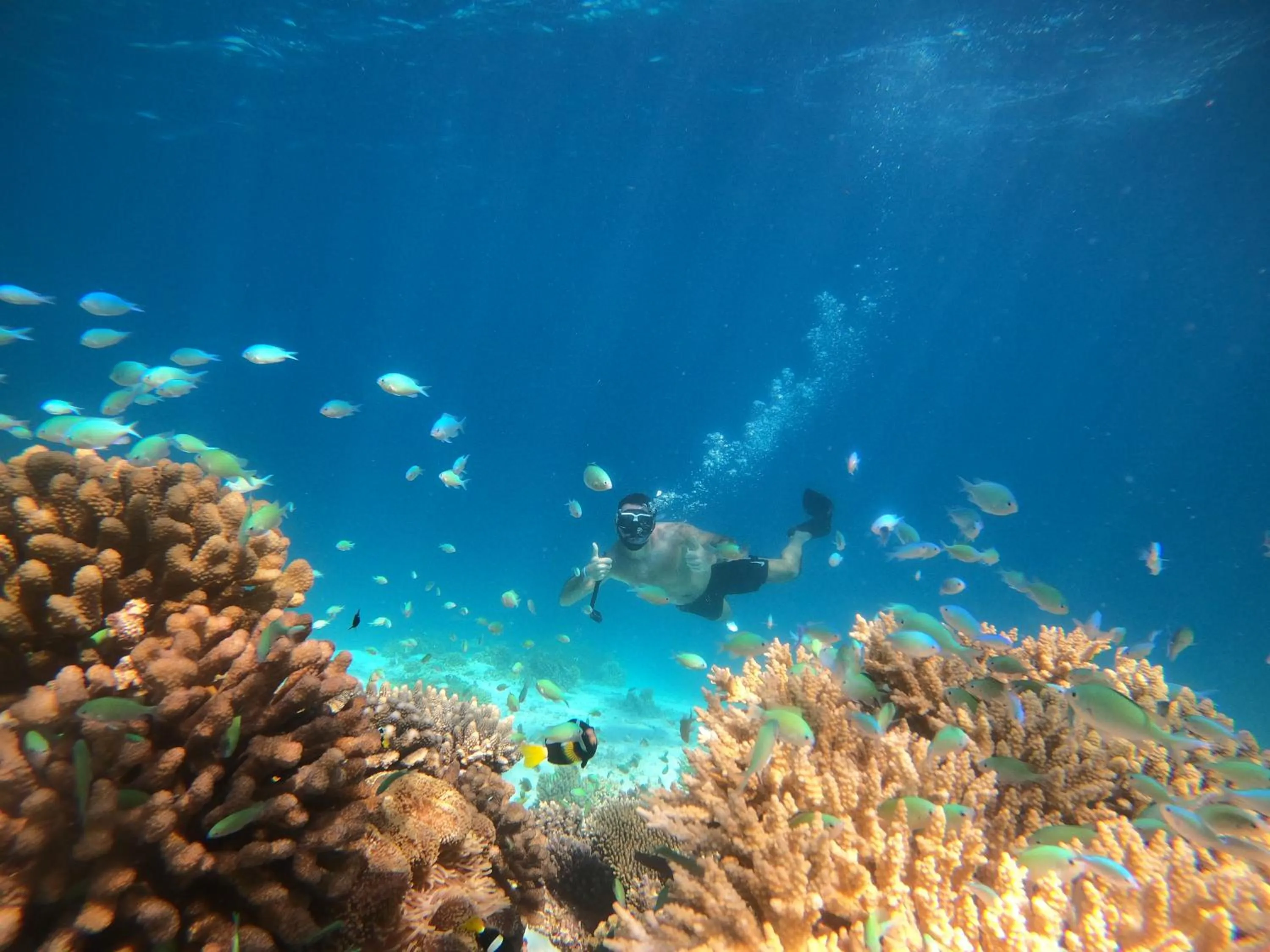 Snorkeling in Crystal Sands
