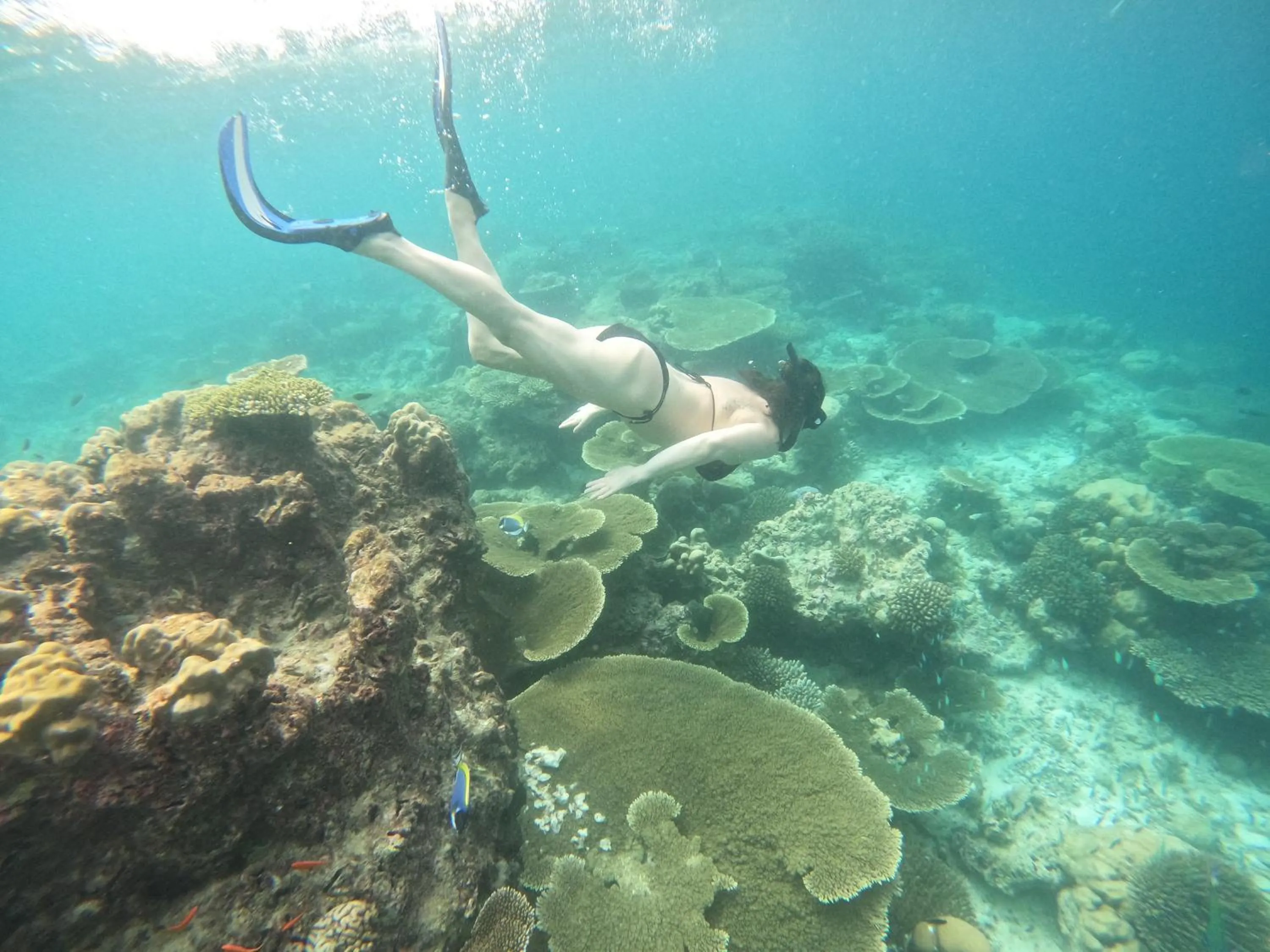 Snorkeling in Crystal Sands
