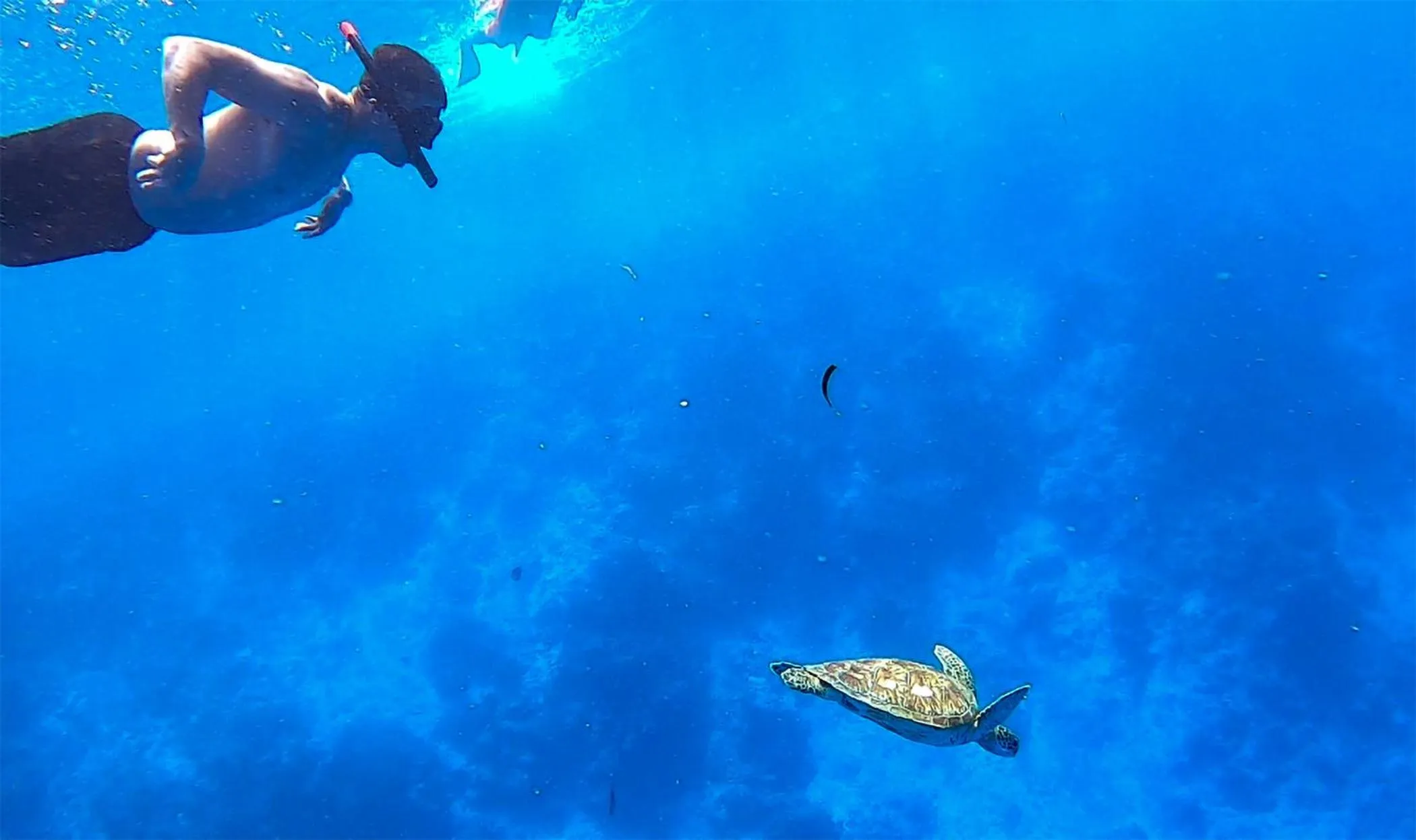 Activities in Crystal Sands