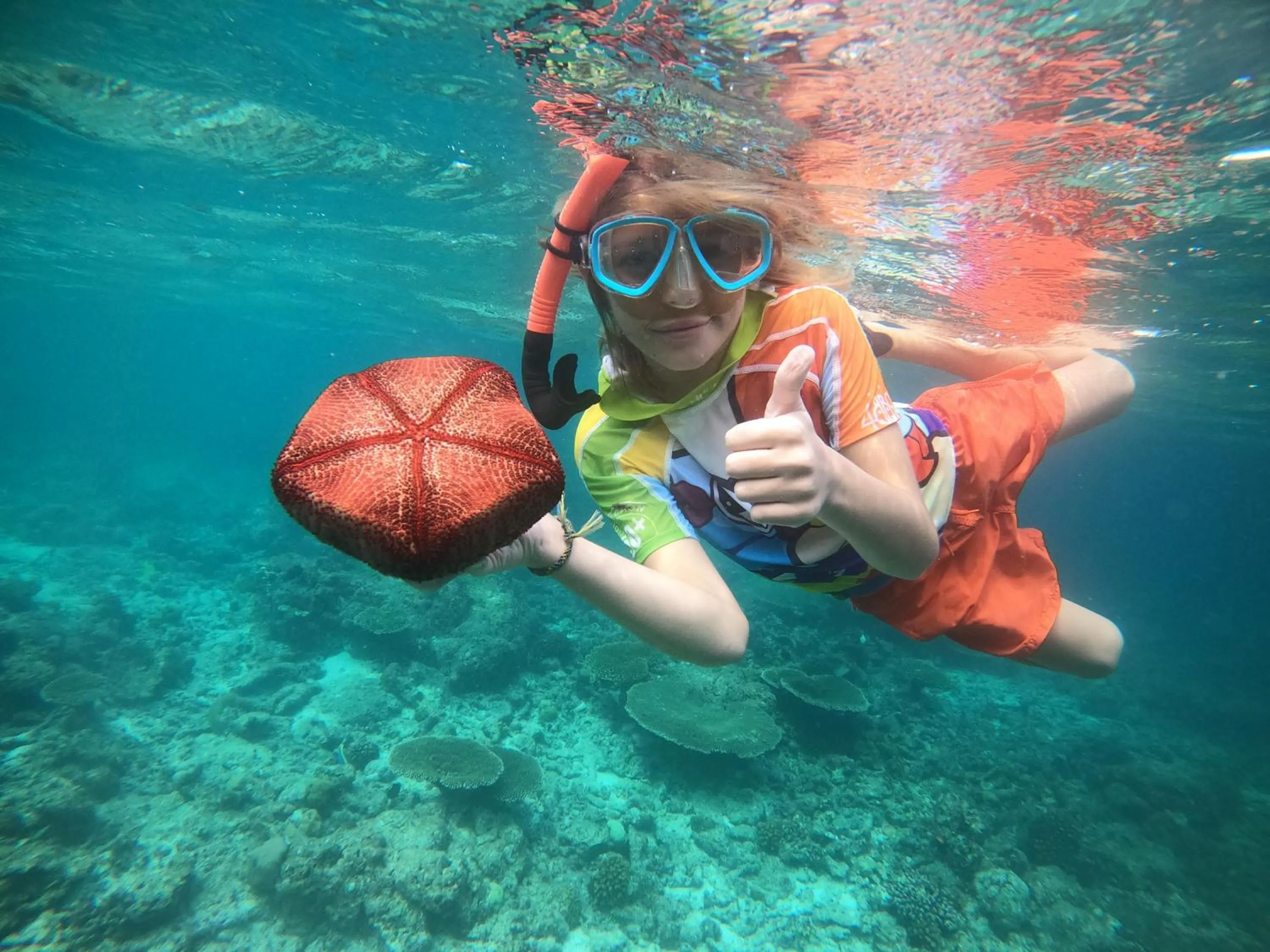 Snorkeling in Crystal Sands