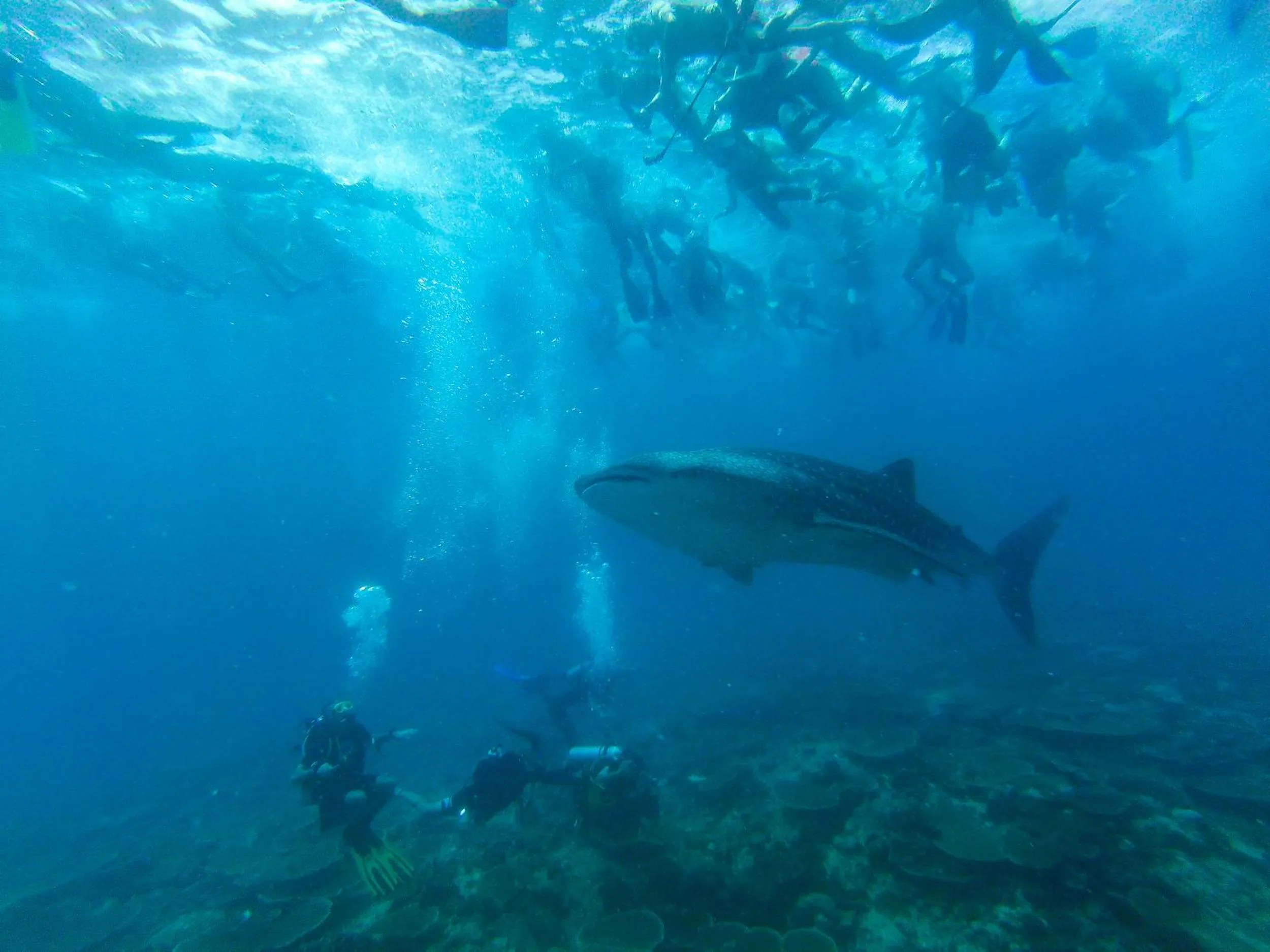 Activities in Crystal Sands