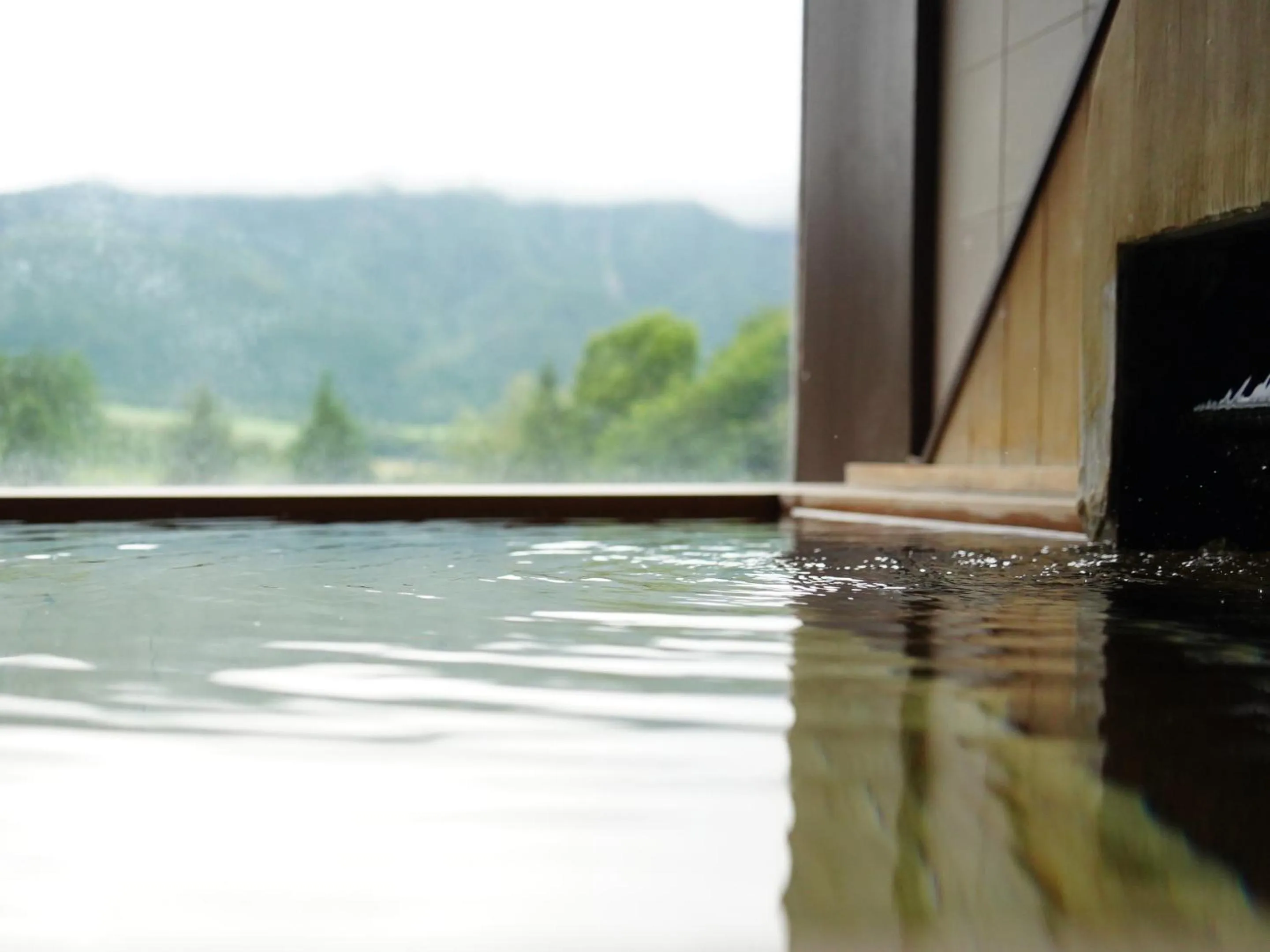 Hot Spring Bath in Hotel Onikoube