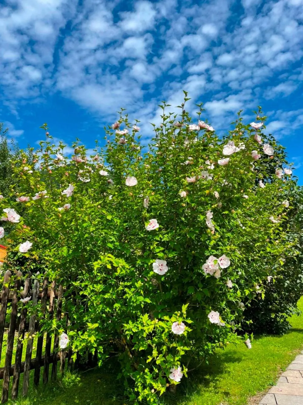 Garden view in Landhaus Gastager