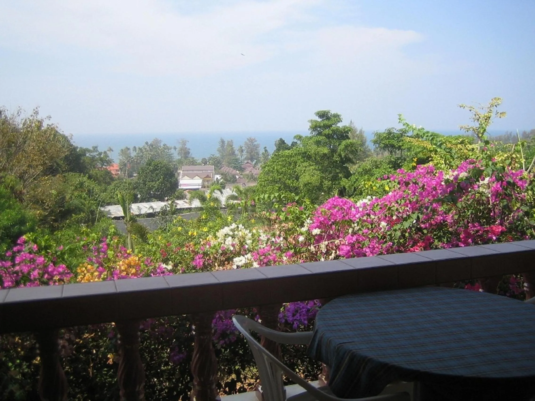 Area and facilities in Freedom Estate sea view Apartments