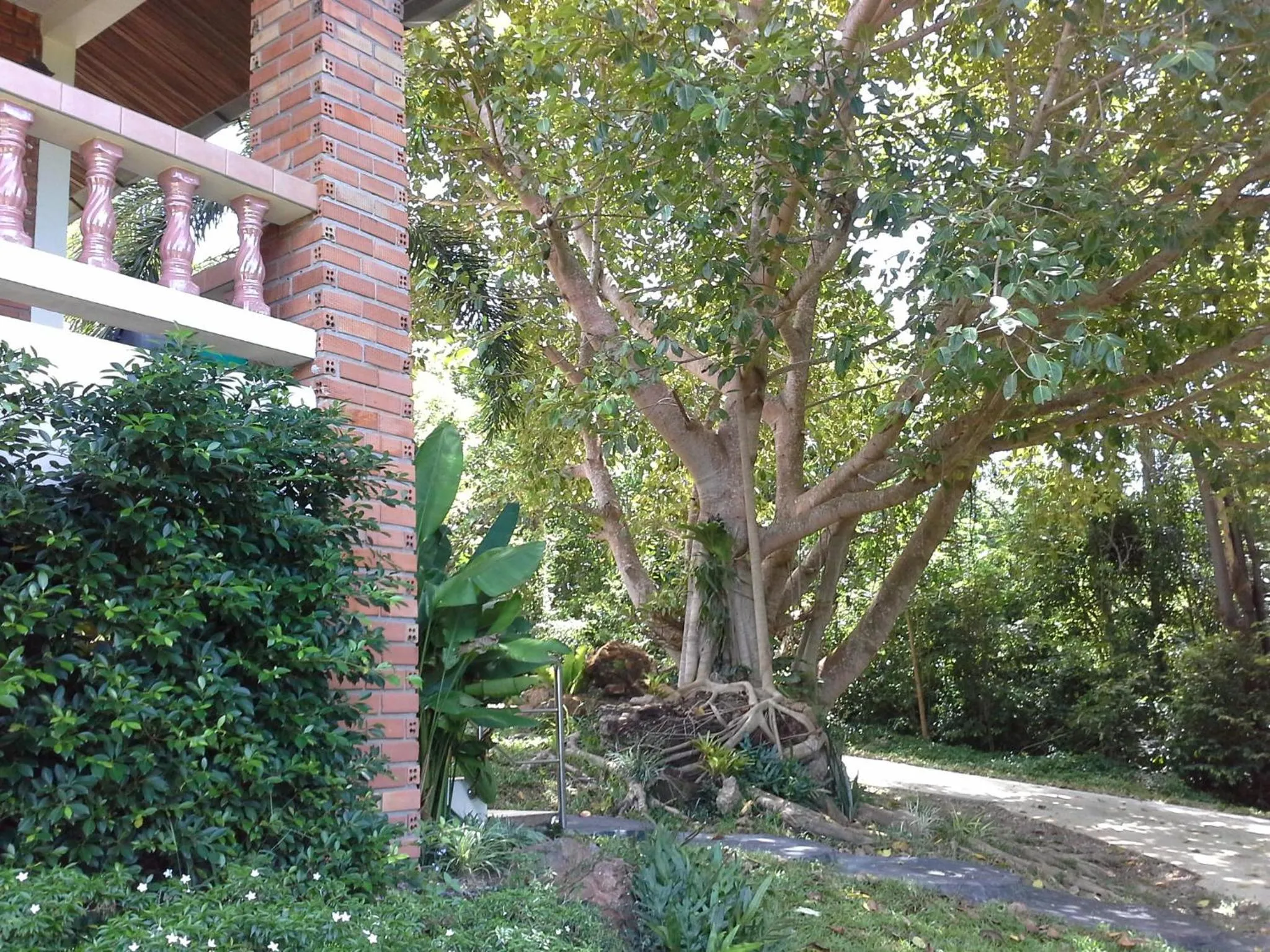 Garden in Freedom Estate sea view Apartments