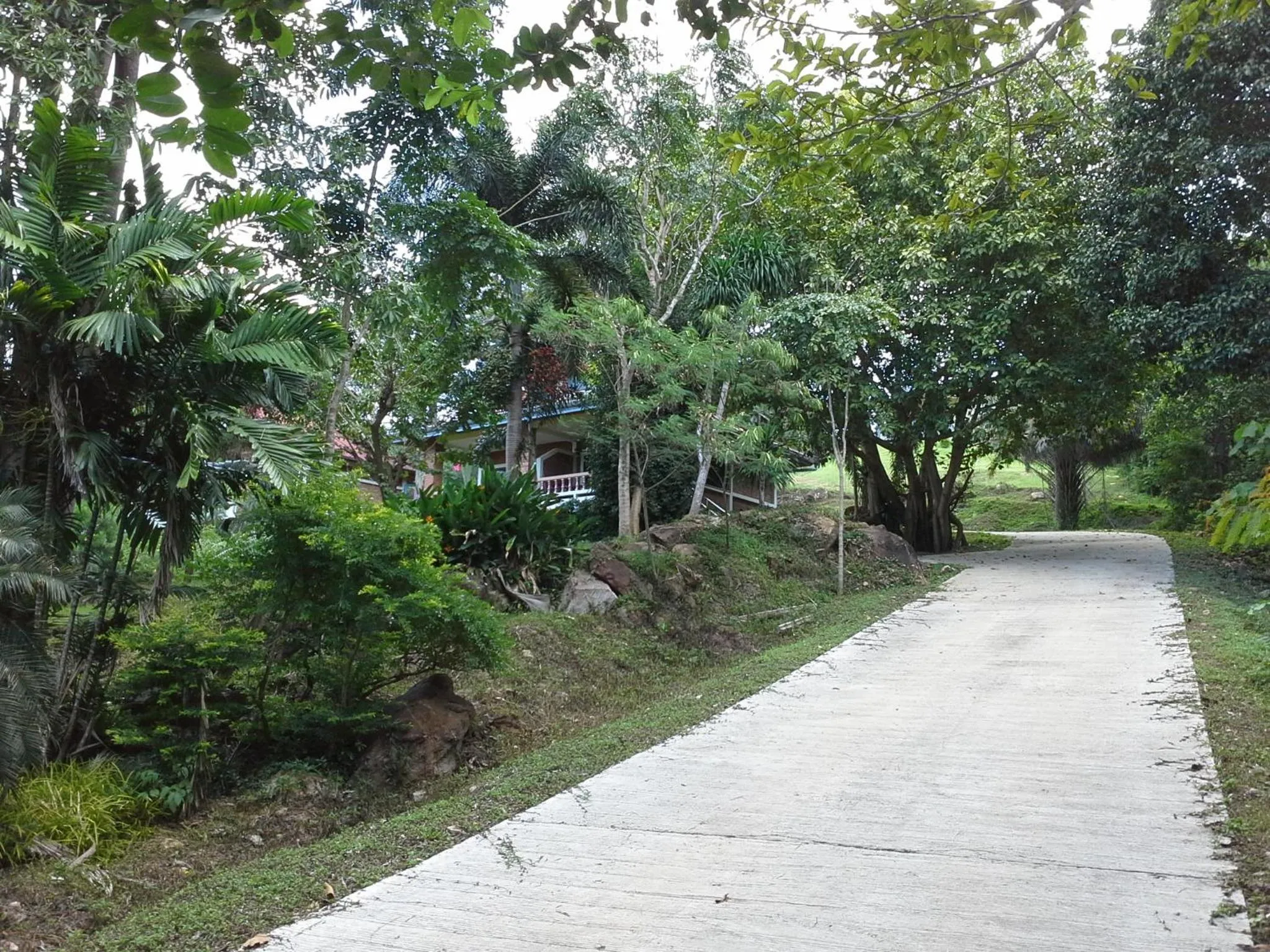 Garden in Freedom Estate sea view Apartments
