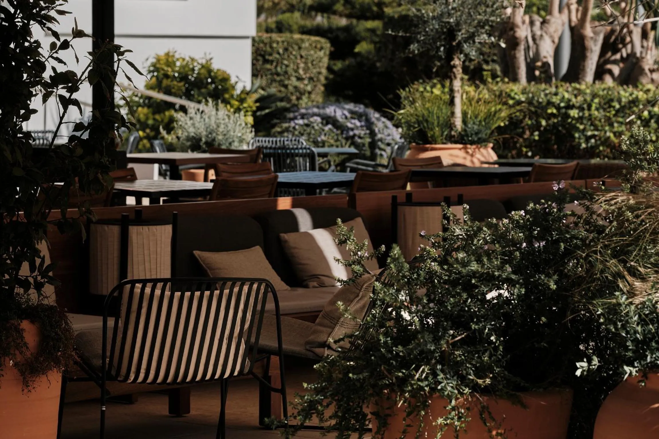 Restaurant/places to eat in Helios Mallorca Hotel & Apartments