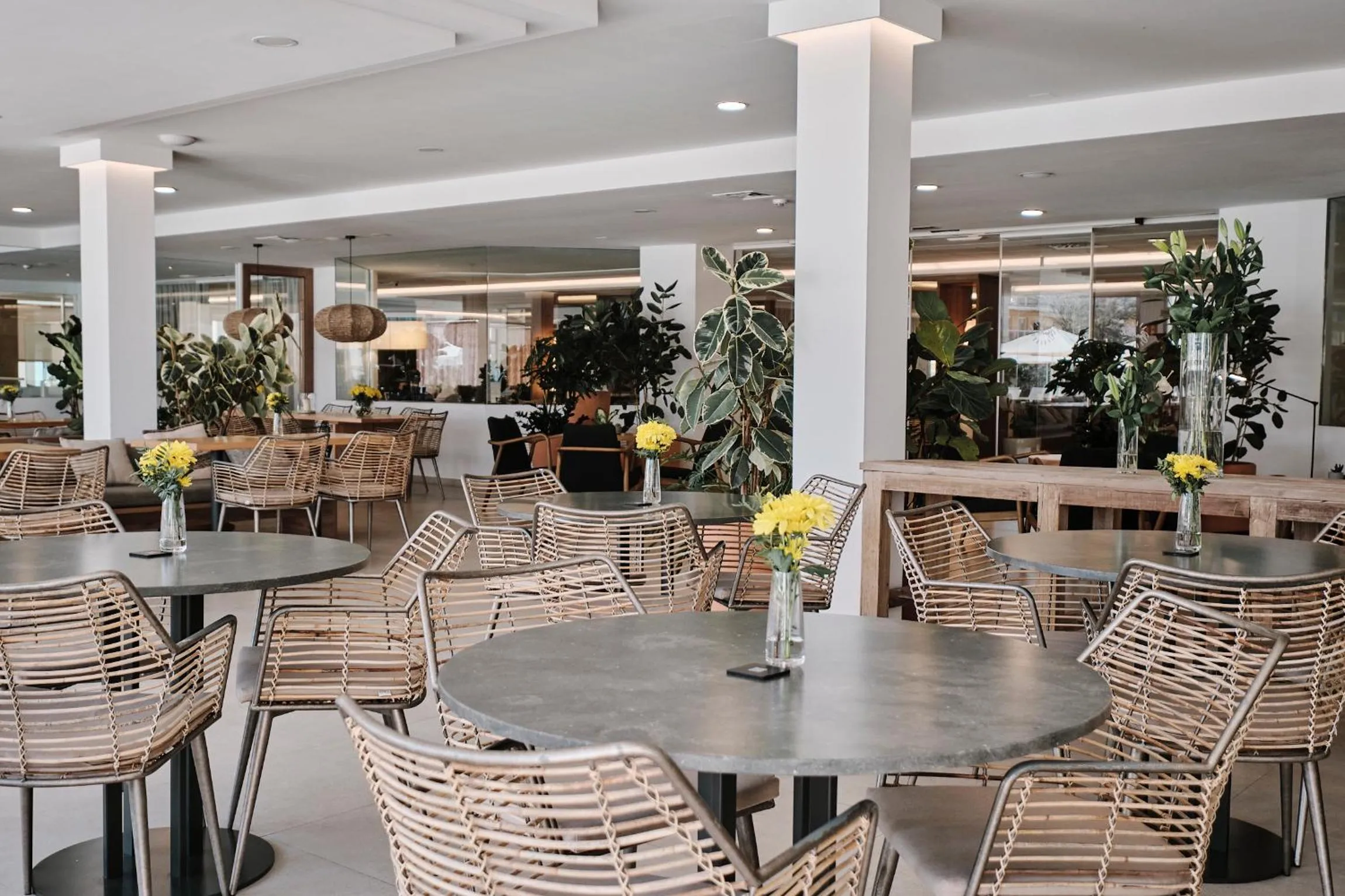 Lounge or bar in Helios Mallorca Hotel & Apartments