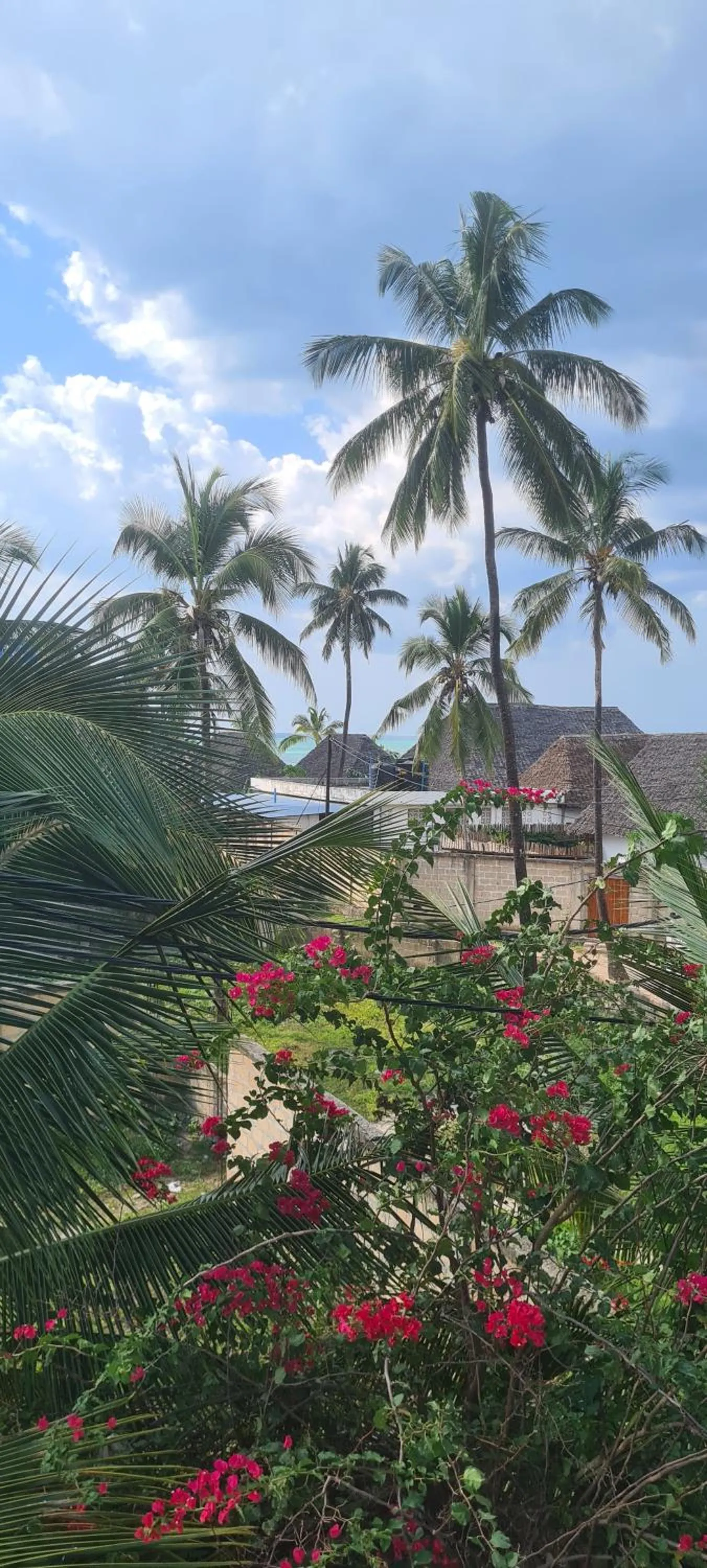 Balcony/Terrace in Mambo Boutique Nungwi