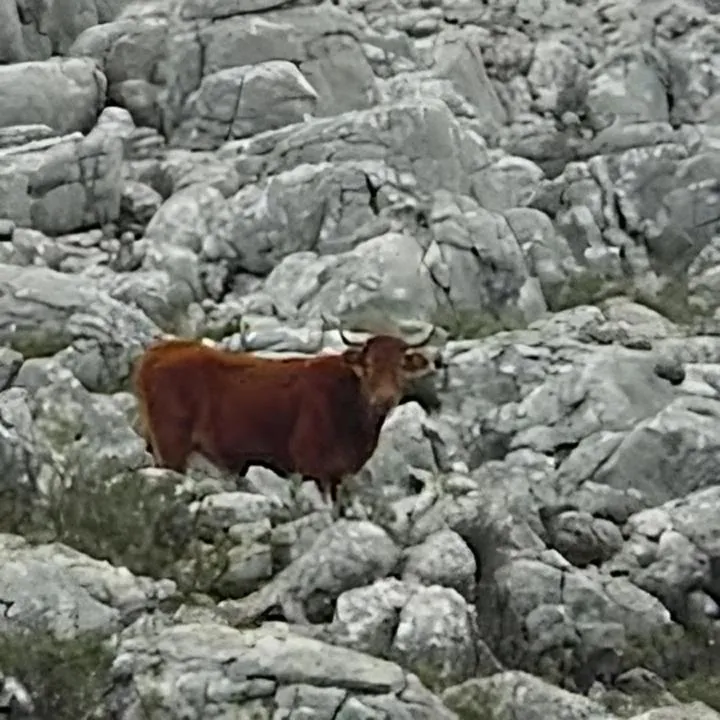 Hostal Colon Antequera