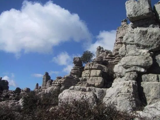 Nearby landmark in Hostal Colon Antequera