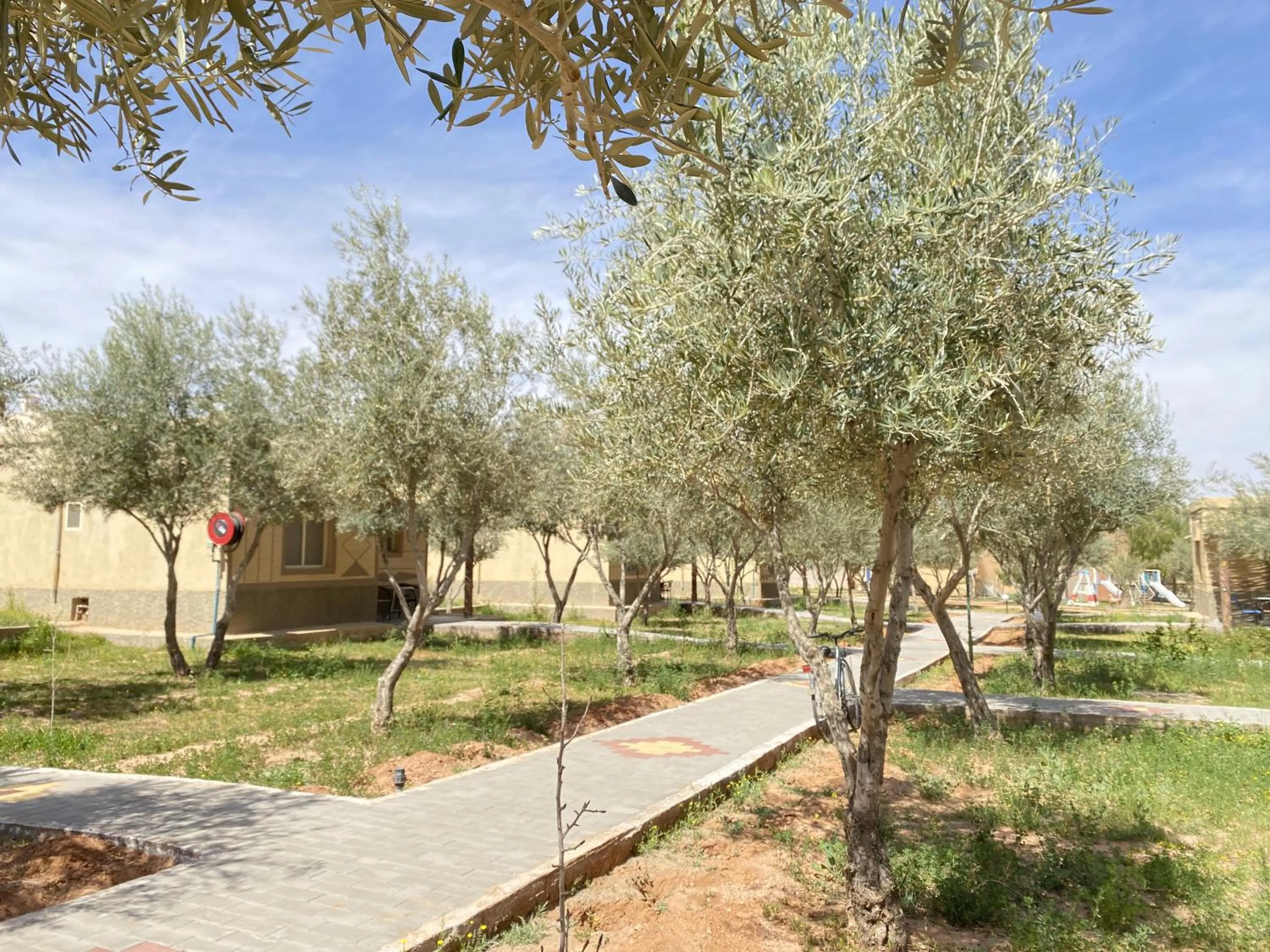 Garden in IGHIZ INN resort