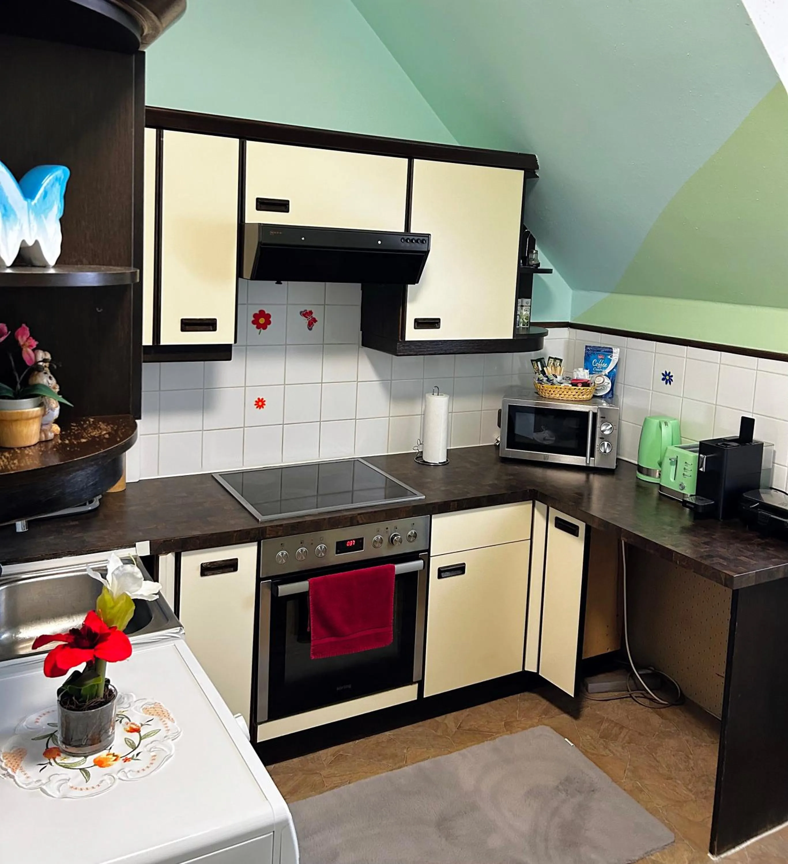 Studio Apartment - single occupancy in Frühstückspension Elena Nicoleta Caltun