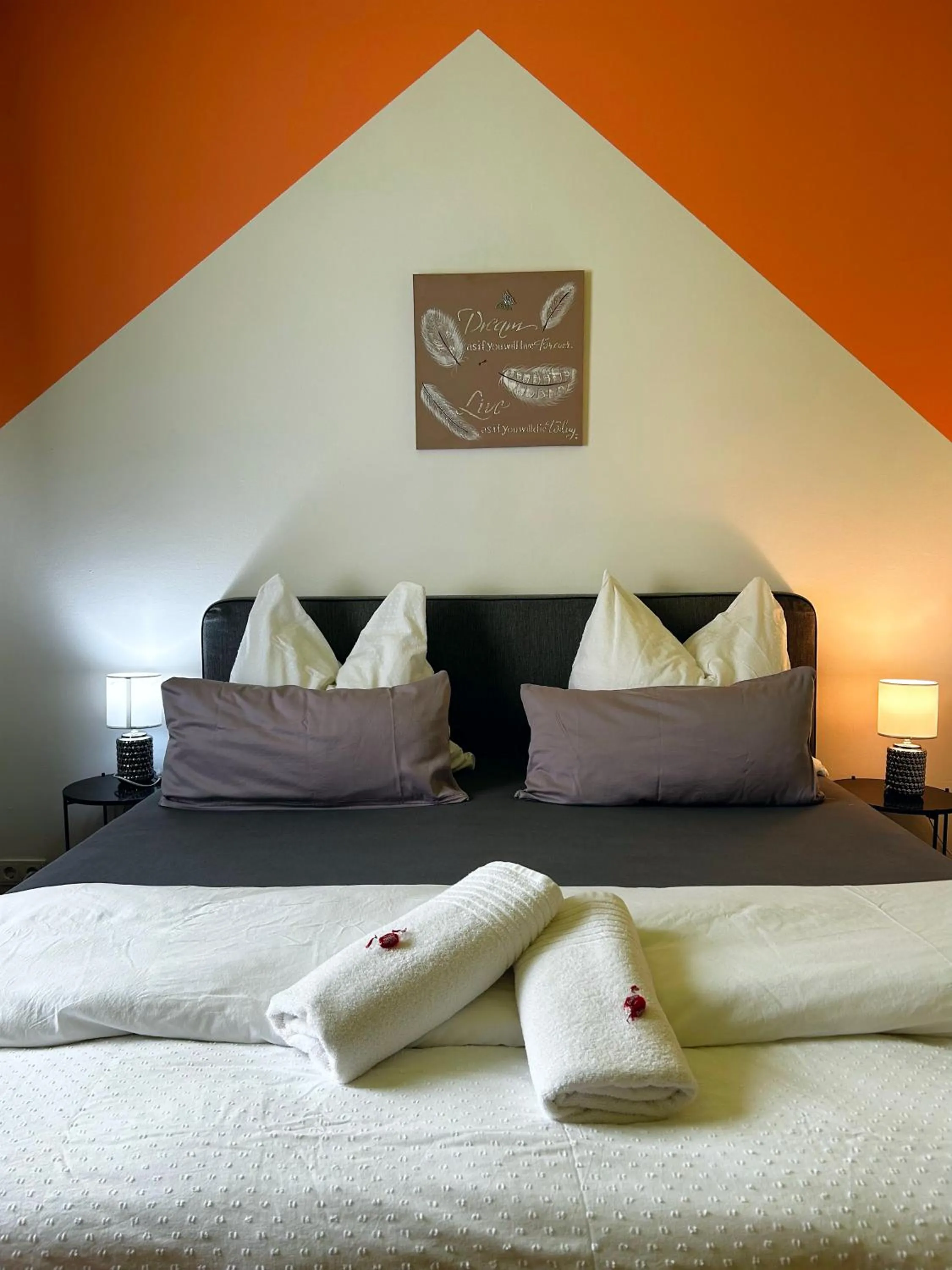 Large Double Room - single occupancy in Frühstückspension Elena Nicoleta Caltun