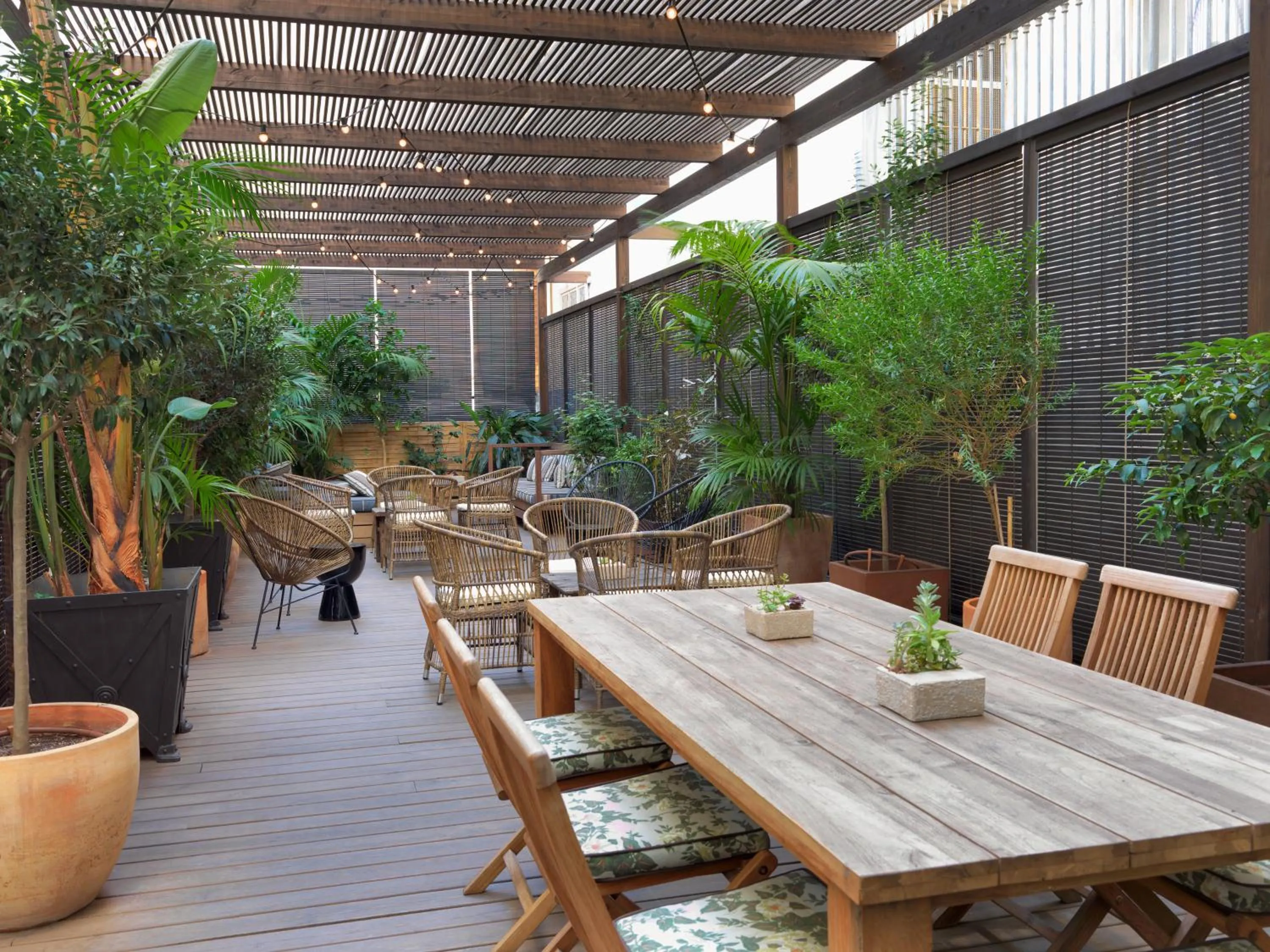 Garden in Boutique Hotel H10 Catalunya Plaza