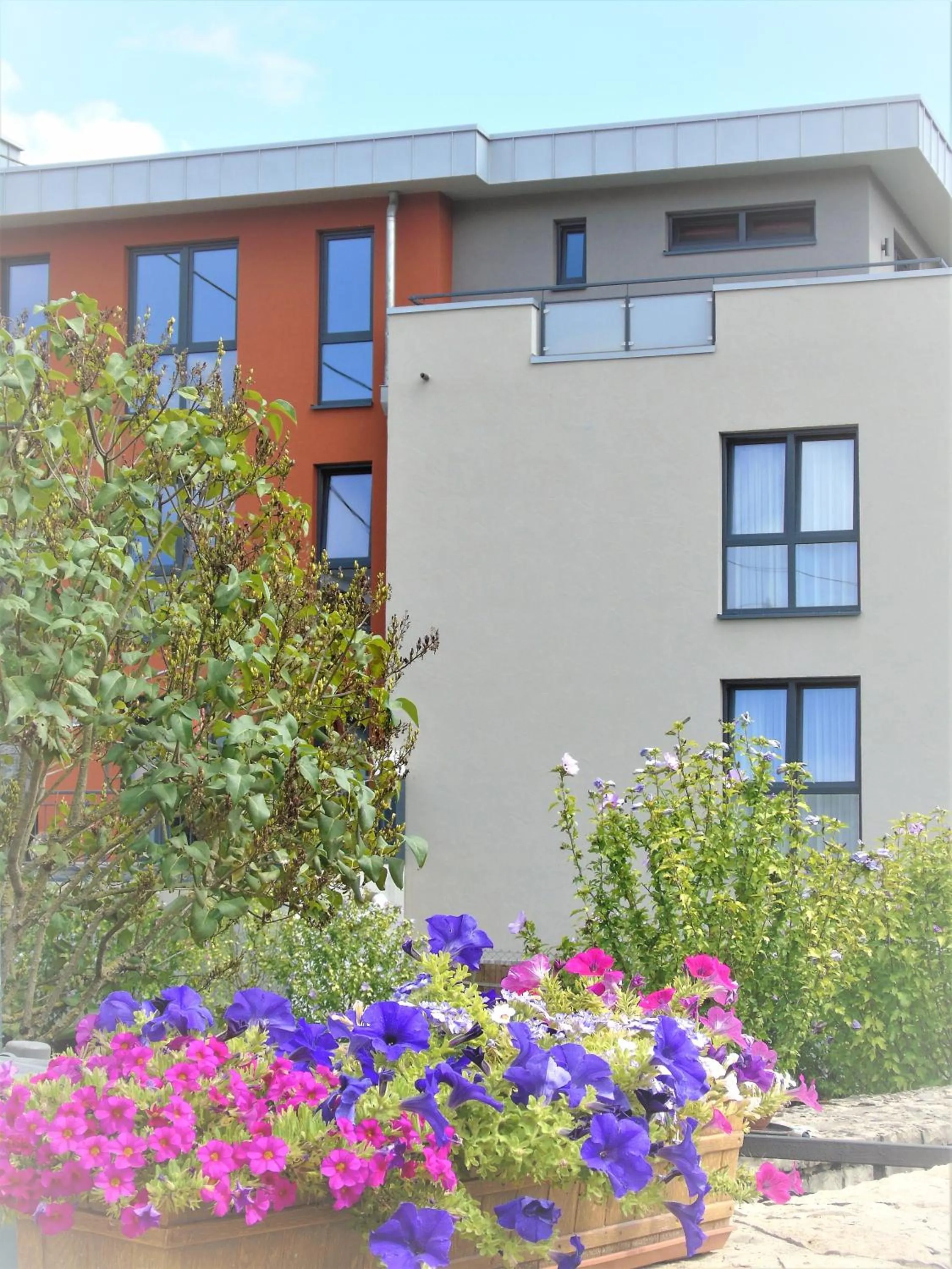 Facade/entrance in Johannishof Wein-Café & Gästehaus