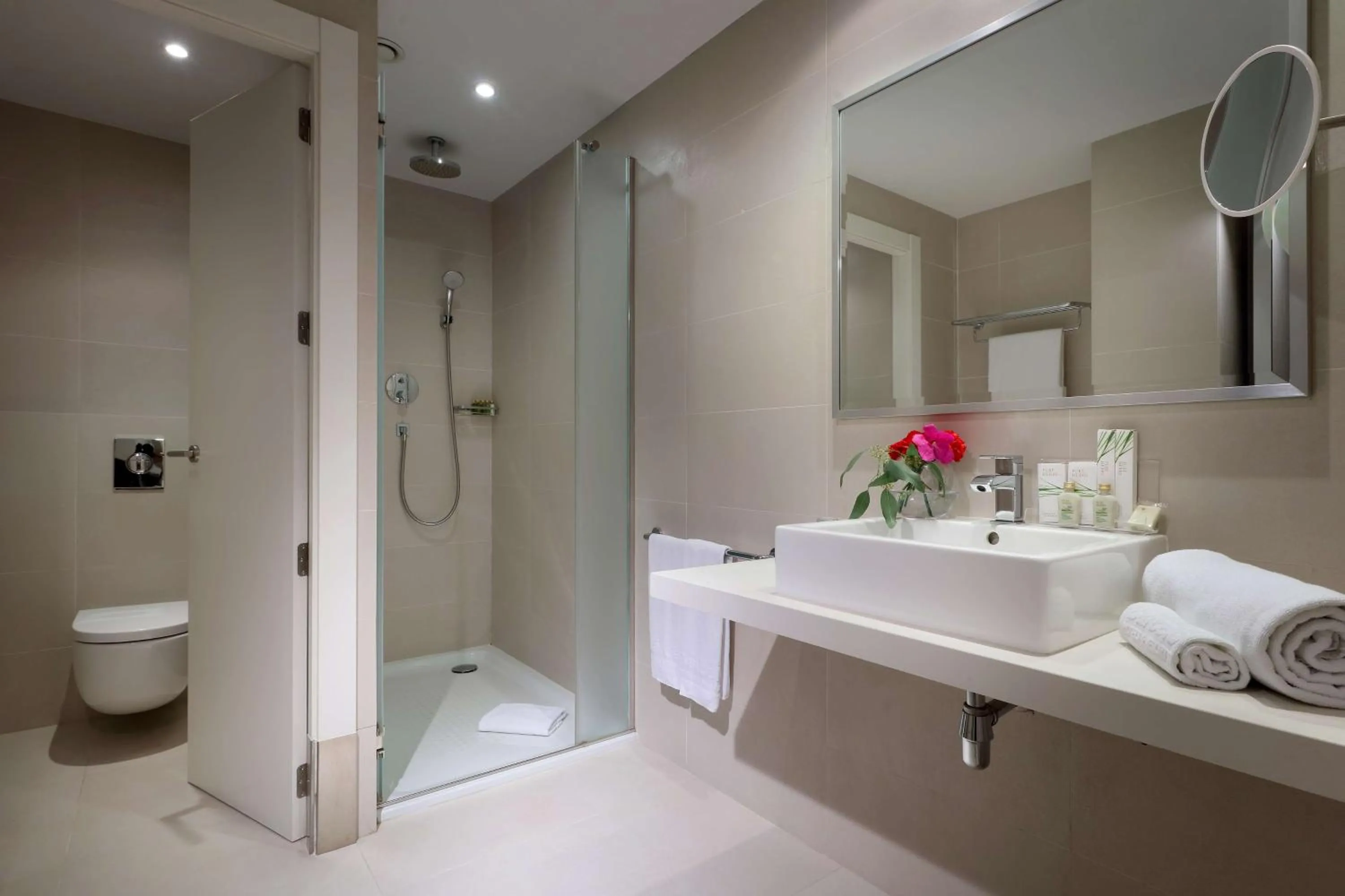 Bathroom in Occidental Bilbao