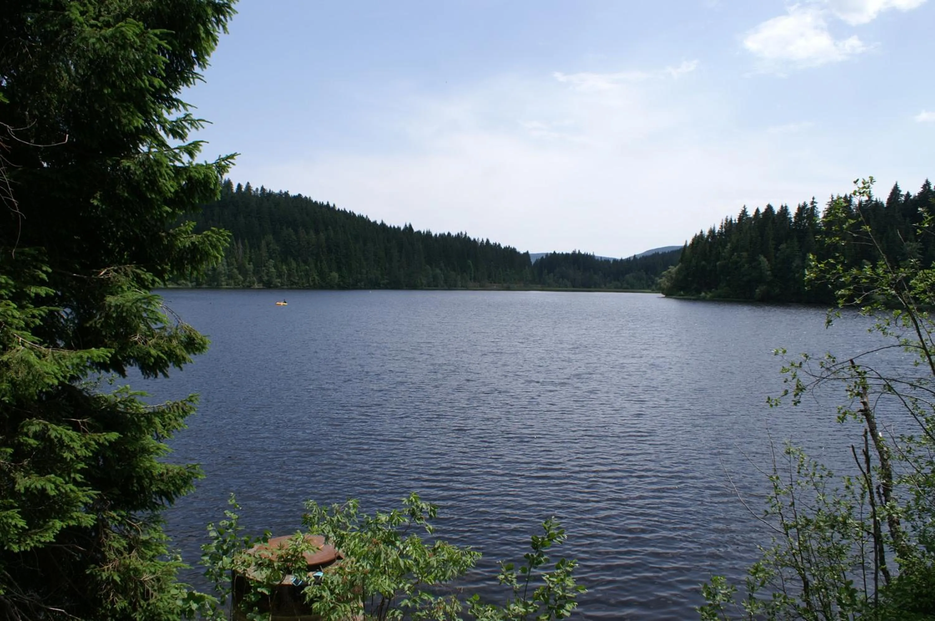 Summer in Ferienhotel Schwarzwälder Hof