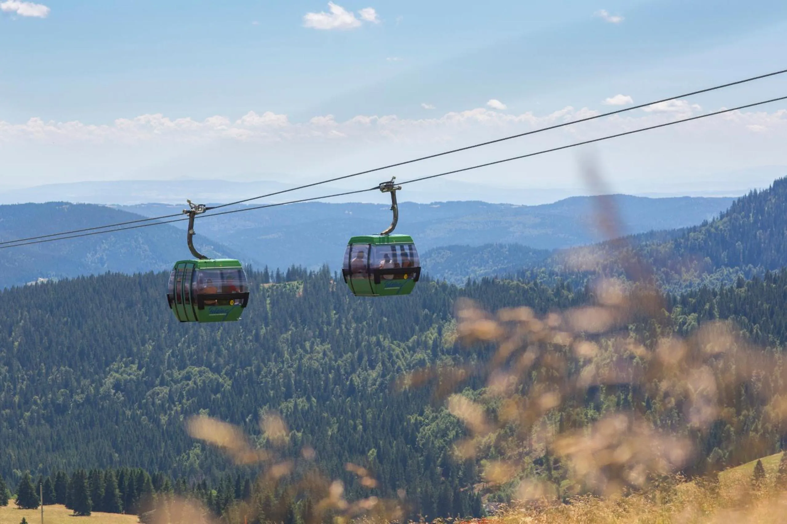 Ferienhotel Schwarzwälder Hof