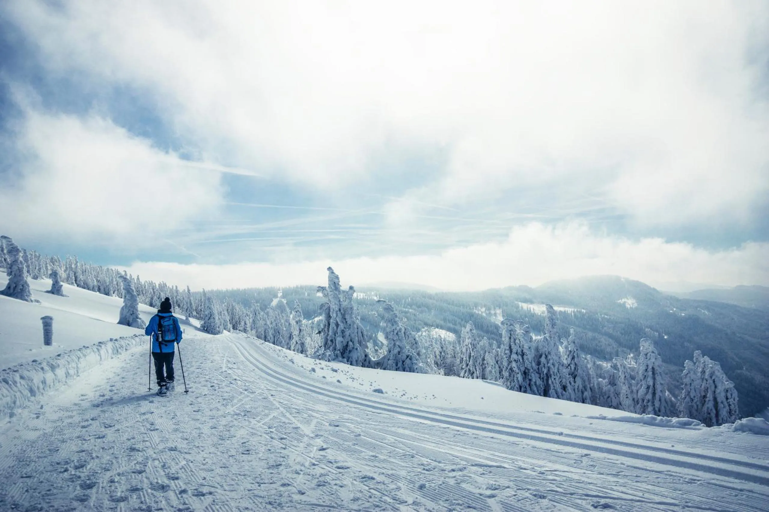 Ferienhotel Schwarzwälder Hof