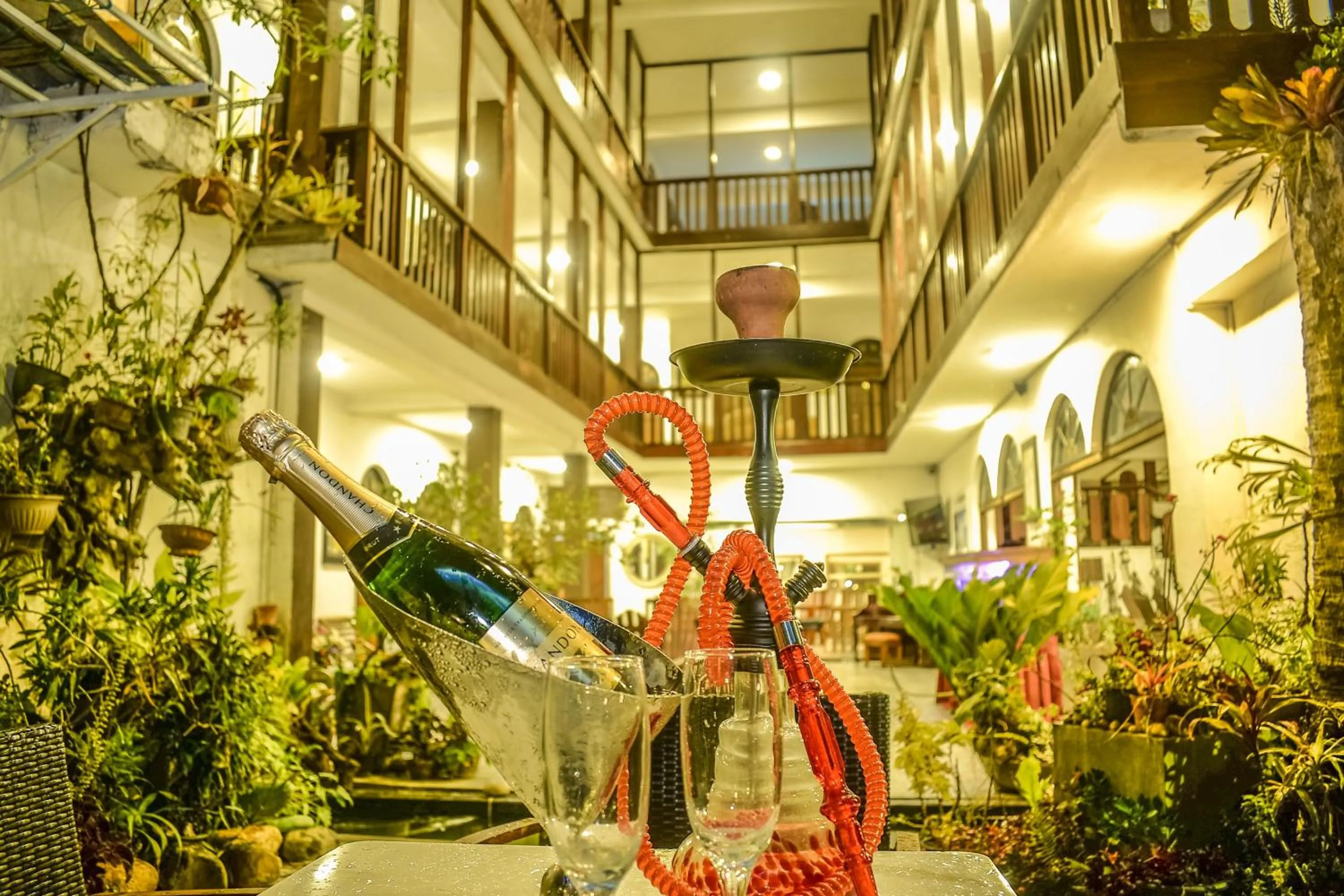 Garden in Sizzle Sports Club