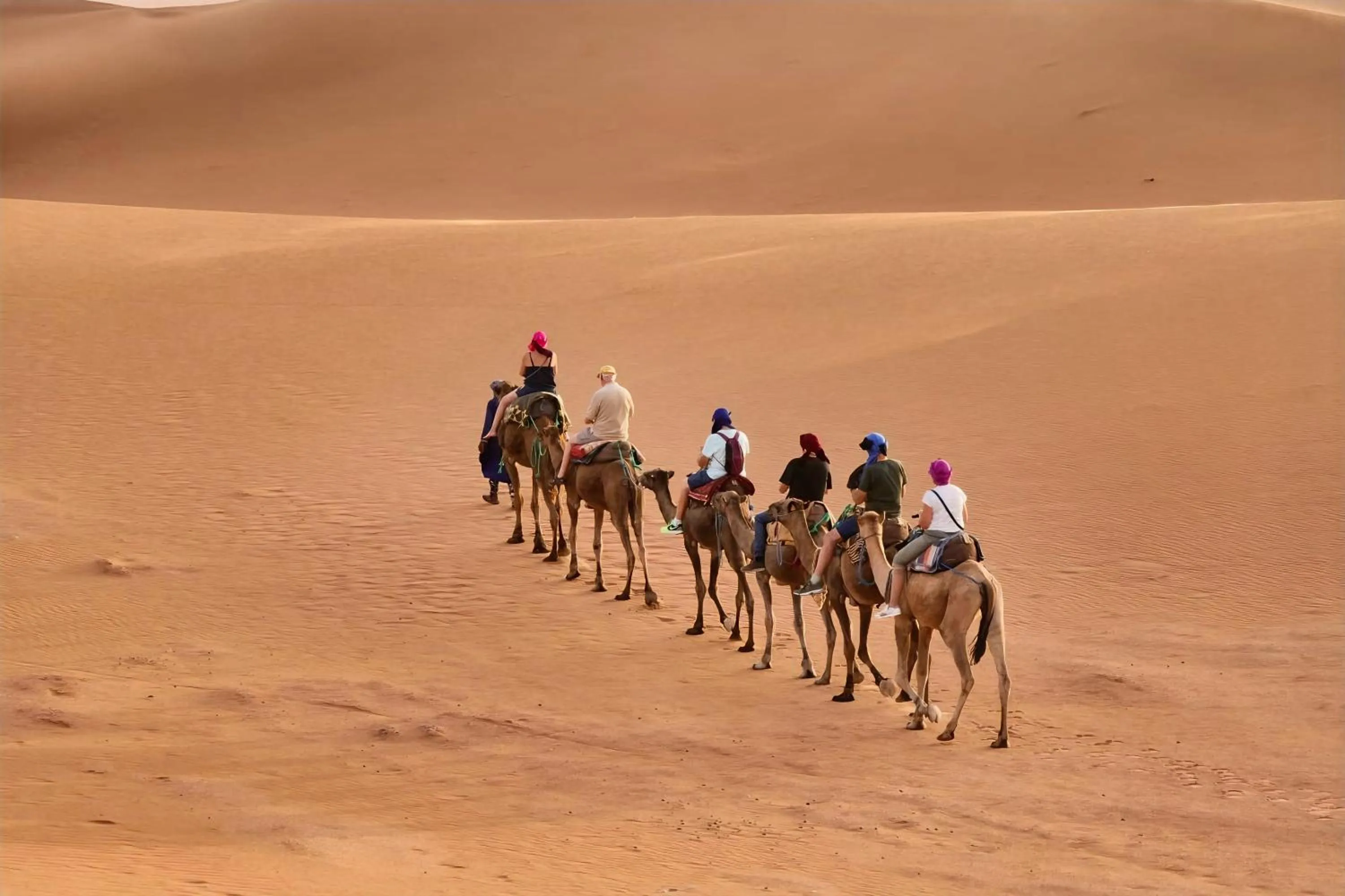 Restaurant/places to eat in Riad Dar Zaouia