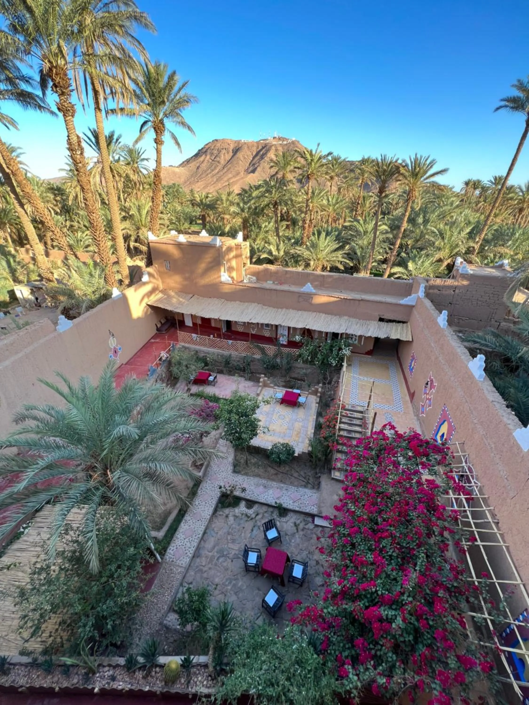 Natural landscape in Riad Dar Zaouia