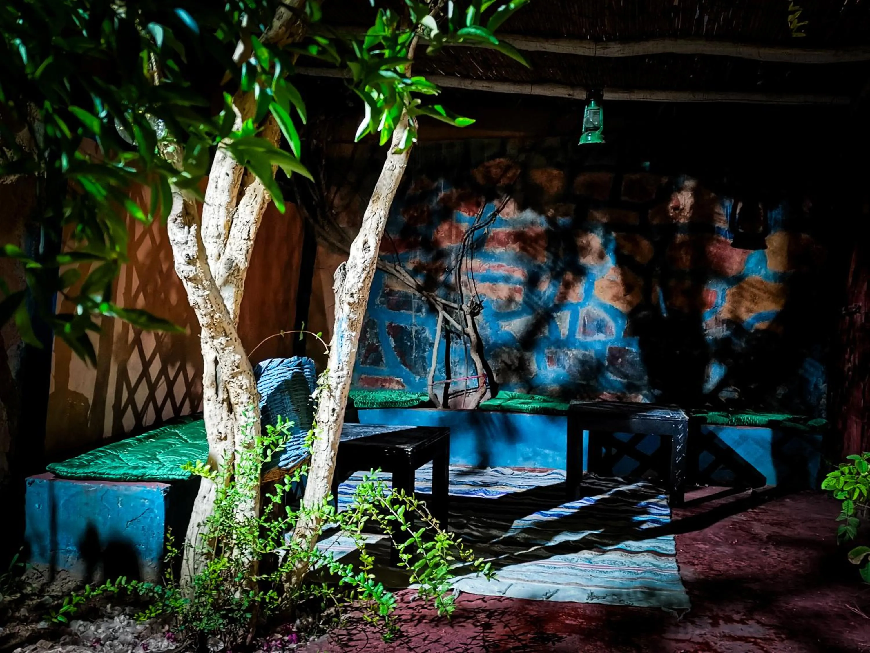 Garden in Riad Dar Zaouia