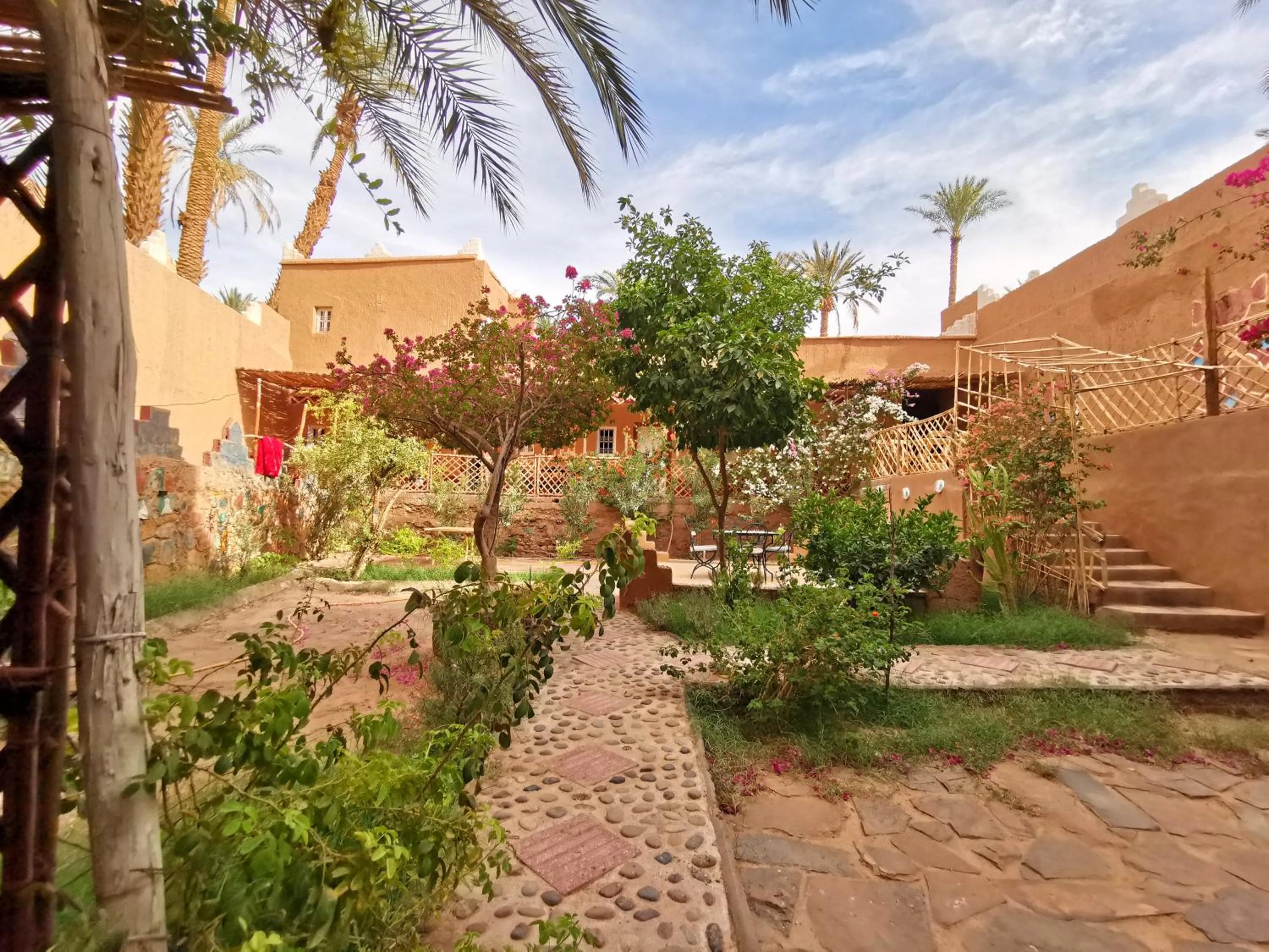 Garden in Riad Dar Zaouia