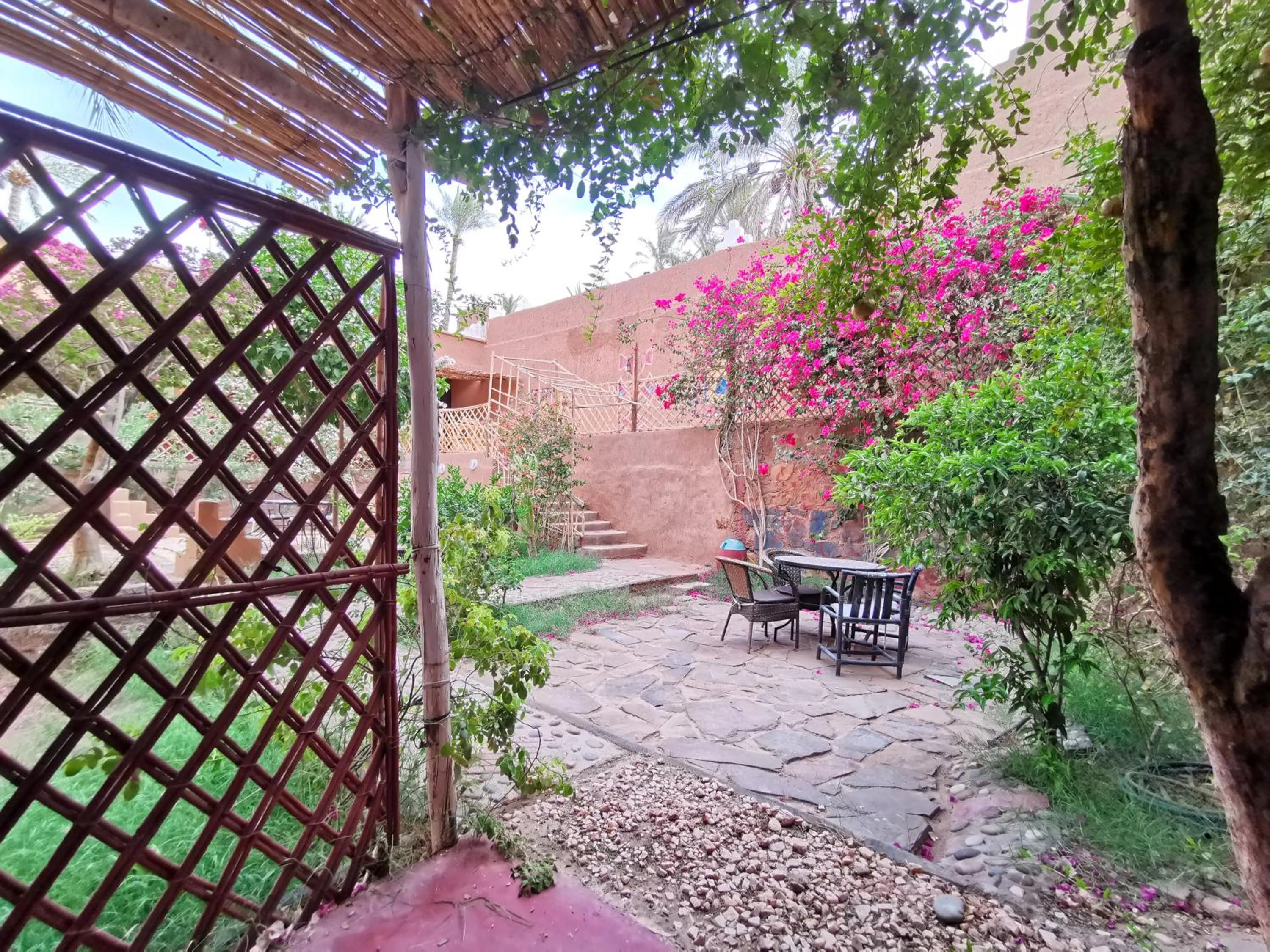 Patio in Riad Dar Zaouia