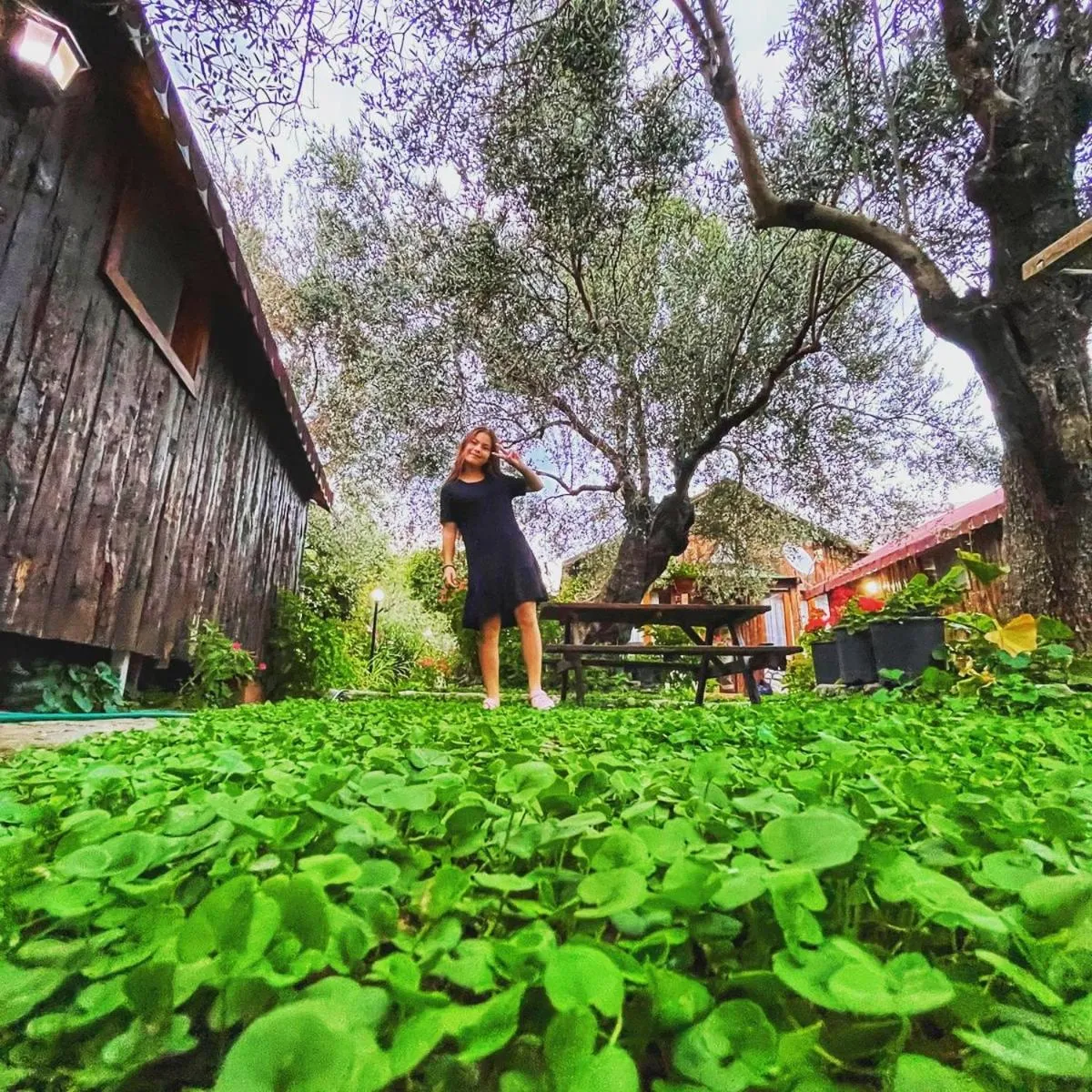 View (from property/room) in Zeytindağı bungalow